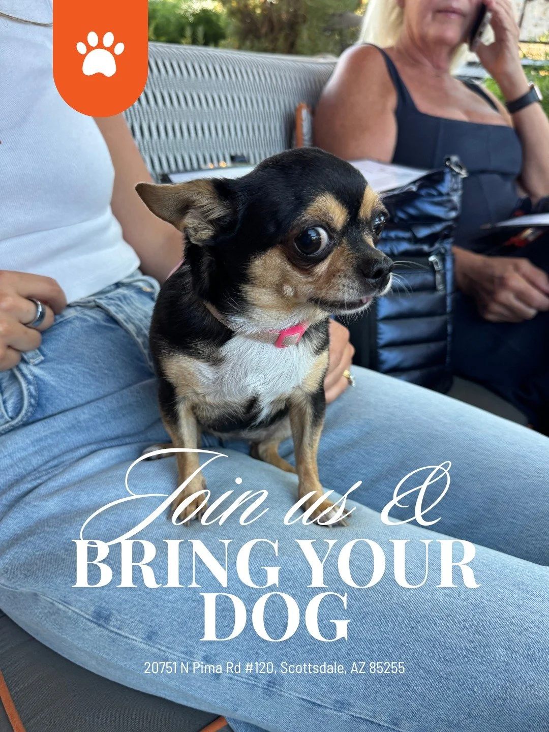 Sunshine, cocktails, and paws under the table at The Living Room 🐶🍹

#DogFriendly #ScottsdaleAZ #PatioDrinks #PupLife #ArizonaEats