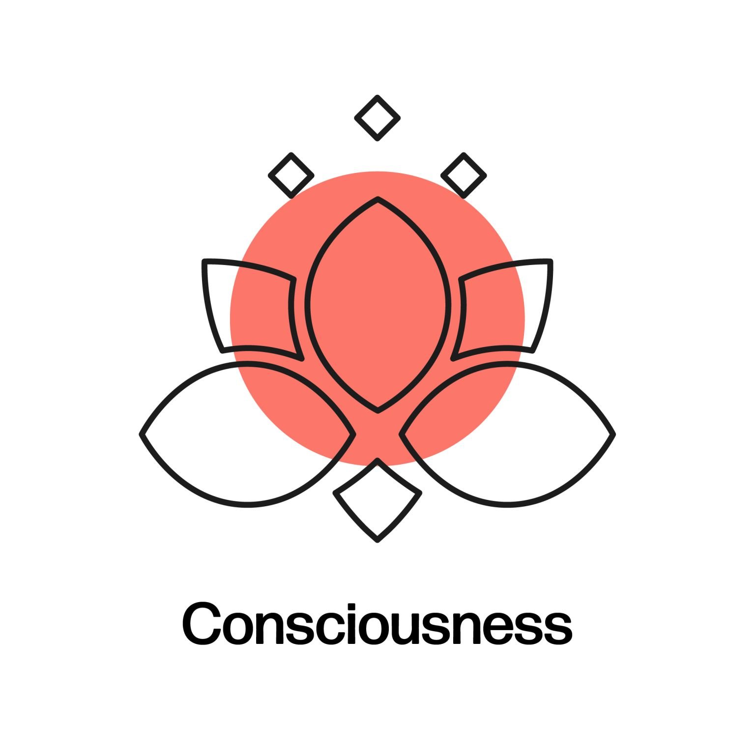 aysnd-values-consciousness.jpeg