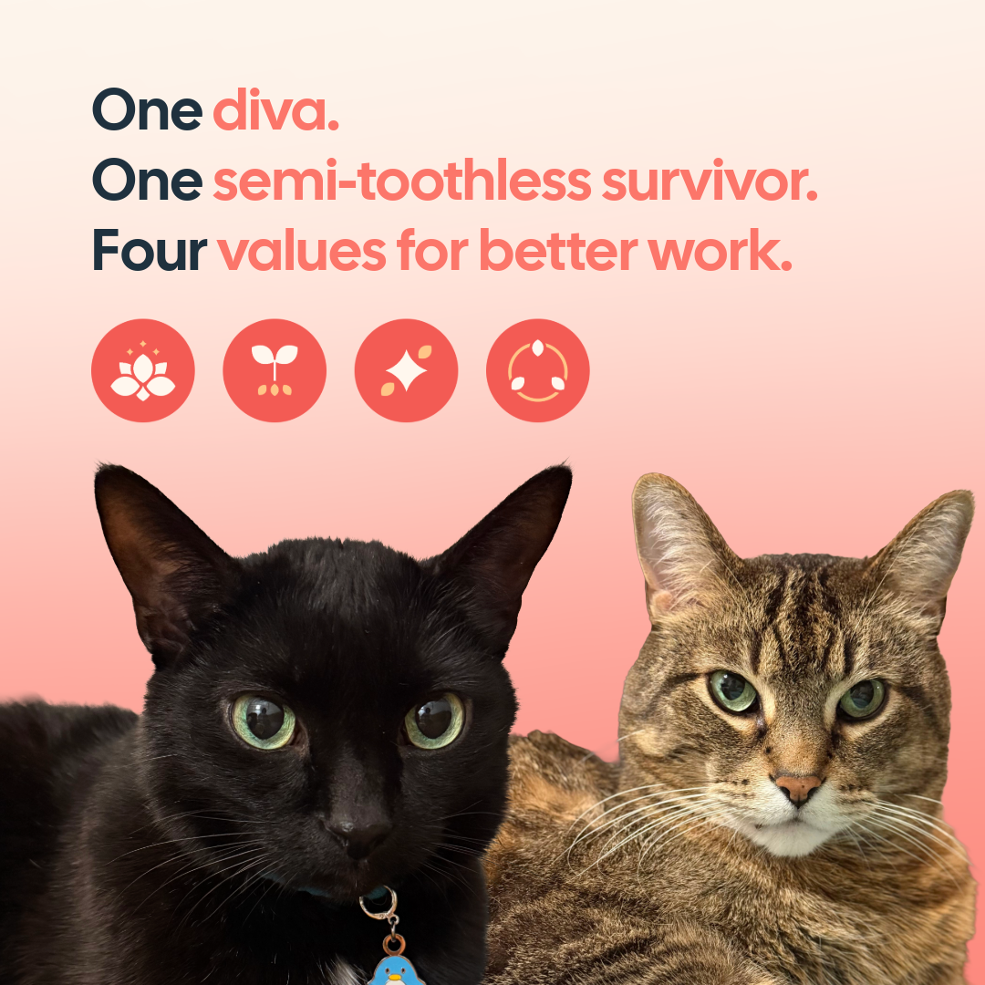 The Four C’s, According to a Diva and a Semi-Toothless Survivor