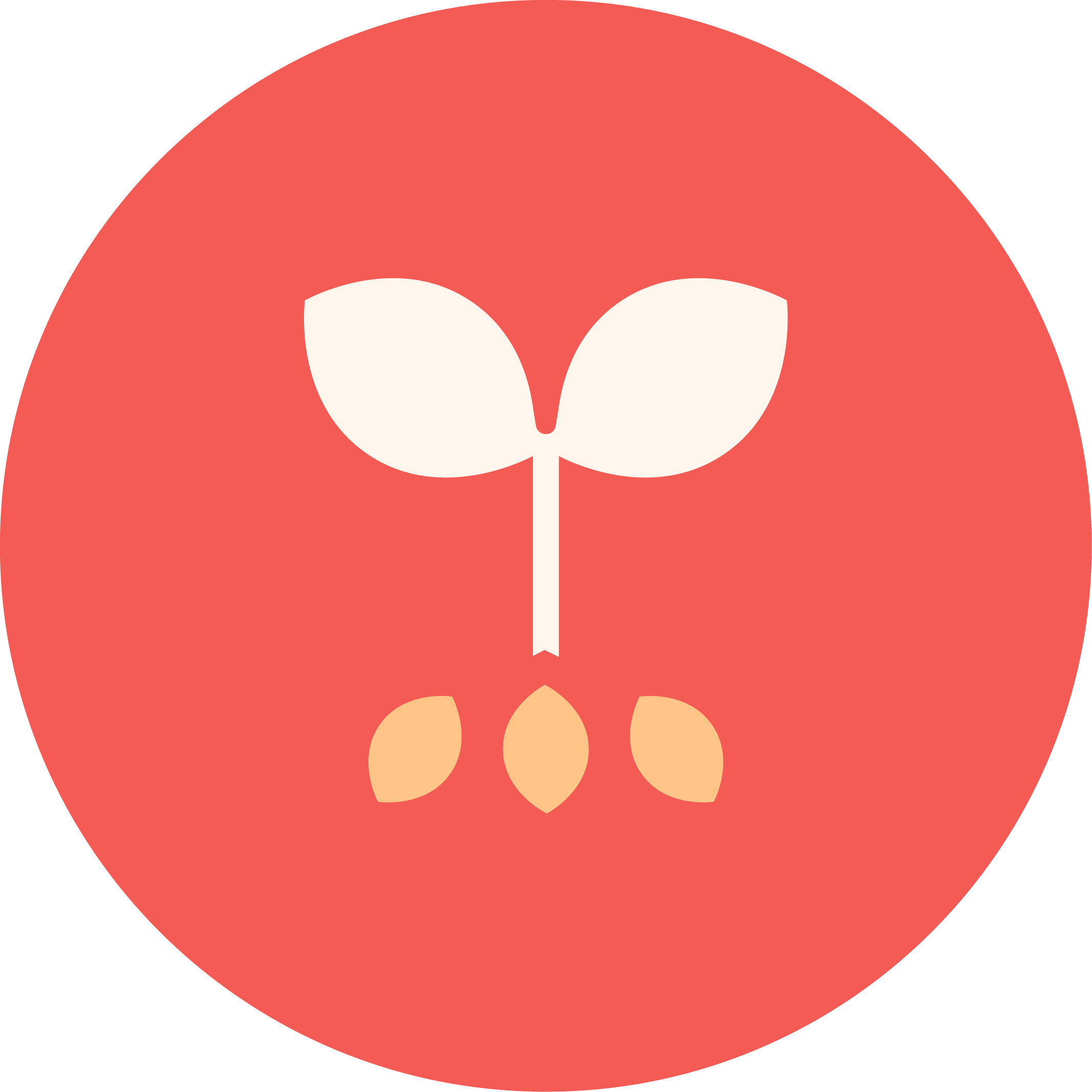 Illustration of a pink circle background with three seed-like shapes, outlined in black.