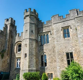 Witton Castle Market 