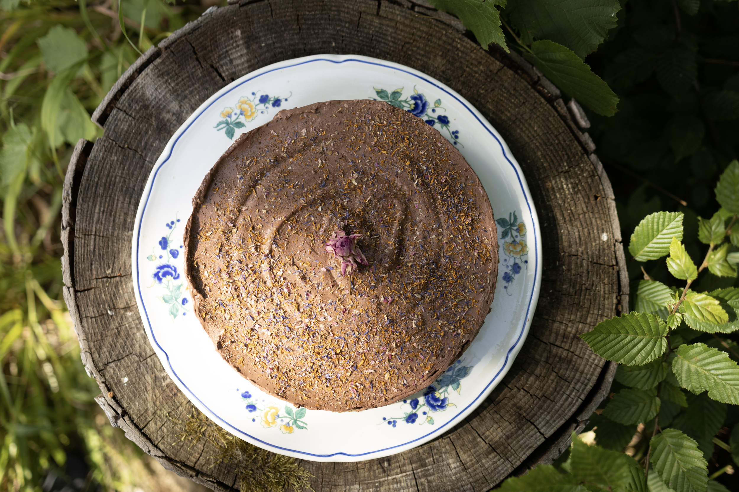 Pasted Graphic 15.png