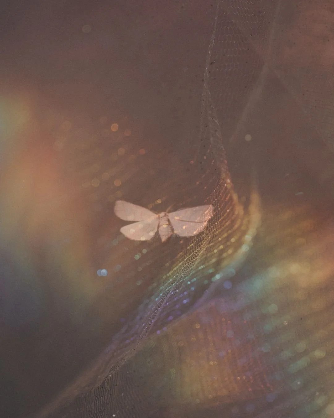 Selbstliebe statt Selbstoptimierung.