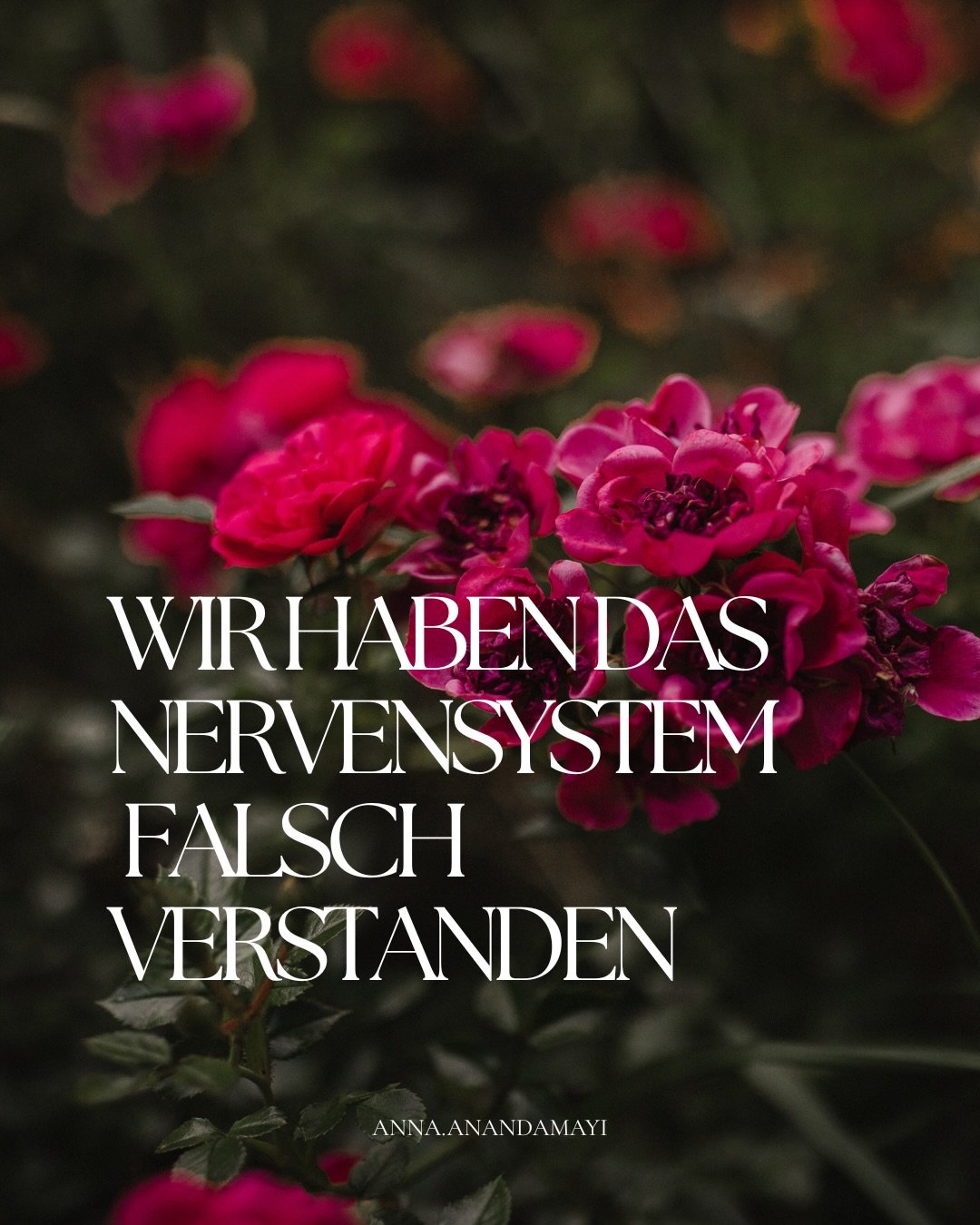 Das Nervensystem ist kein Problem. Es ist das, was wir dar&uuml;ber denken. 

Stress, Emotionen,&hellip; all das macht uns menschlich. Es geh&ouml;rt zum Alltag dazu, auch mal Inhensivit&auml;t zu sp&uuml;ren. 

Regulation bedeutet nicht stetige Ruhe