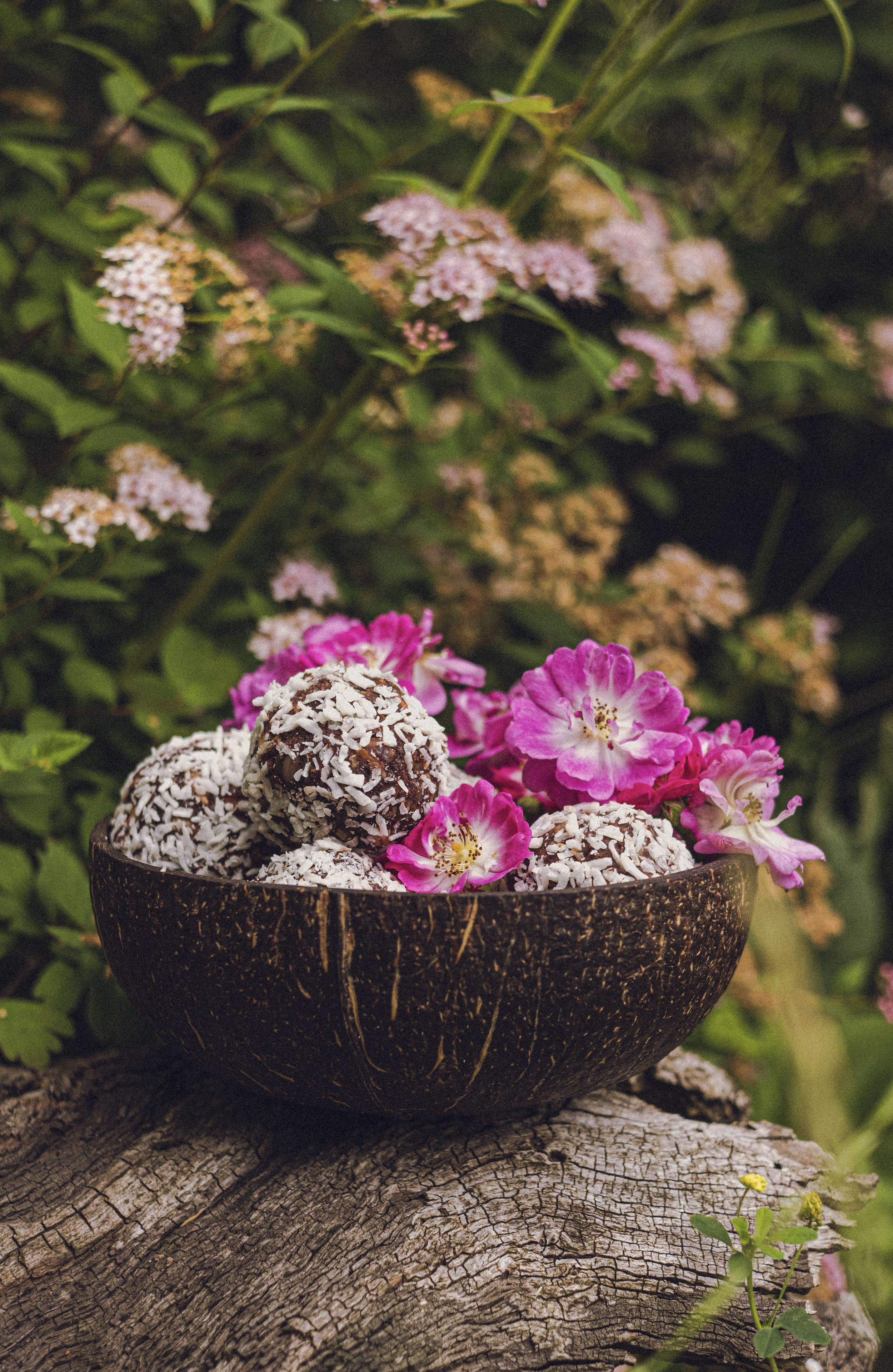 Pasted Graphic 1.png