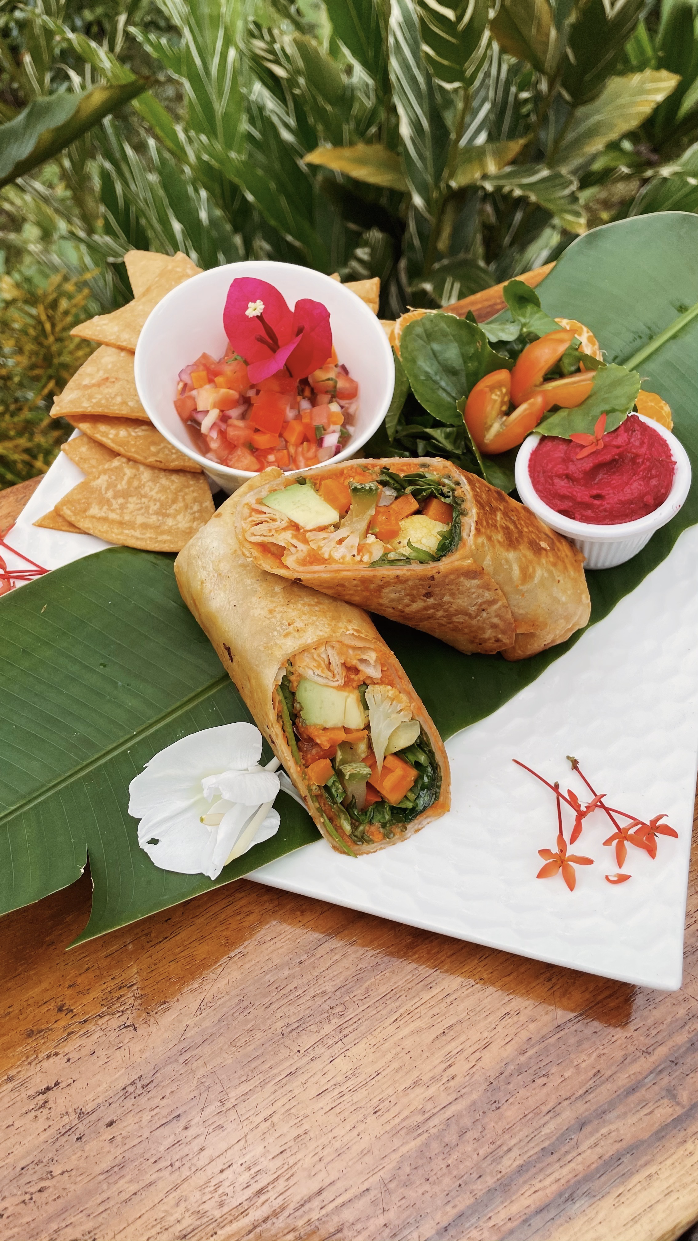 Pasted Graphic 9.png