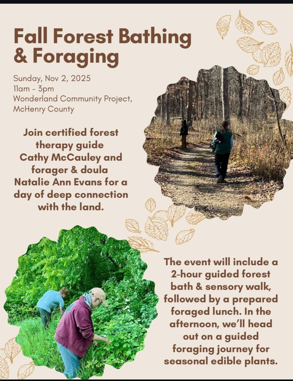 Fall Forest Bathing and Foraging