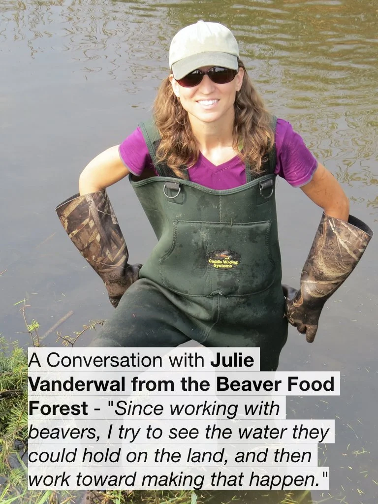 A Conversation with Julie Vanderwal from the Beaver Food Forest - "Since working with beavers, I try to see the water they could hold on the land, and then work toward making that happen."