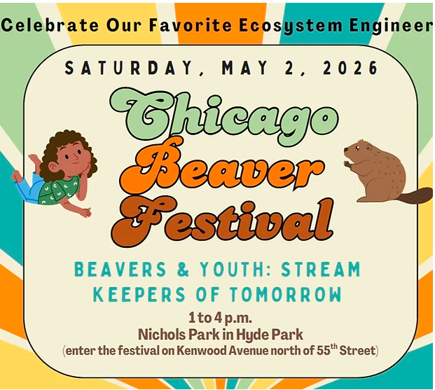 Chicago Beaver Festival