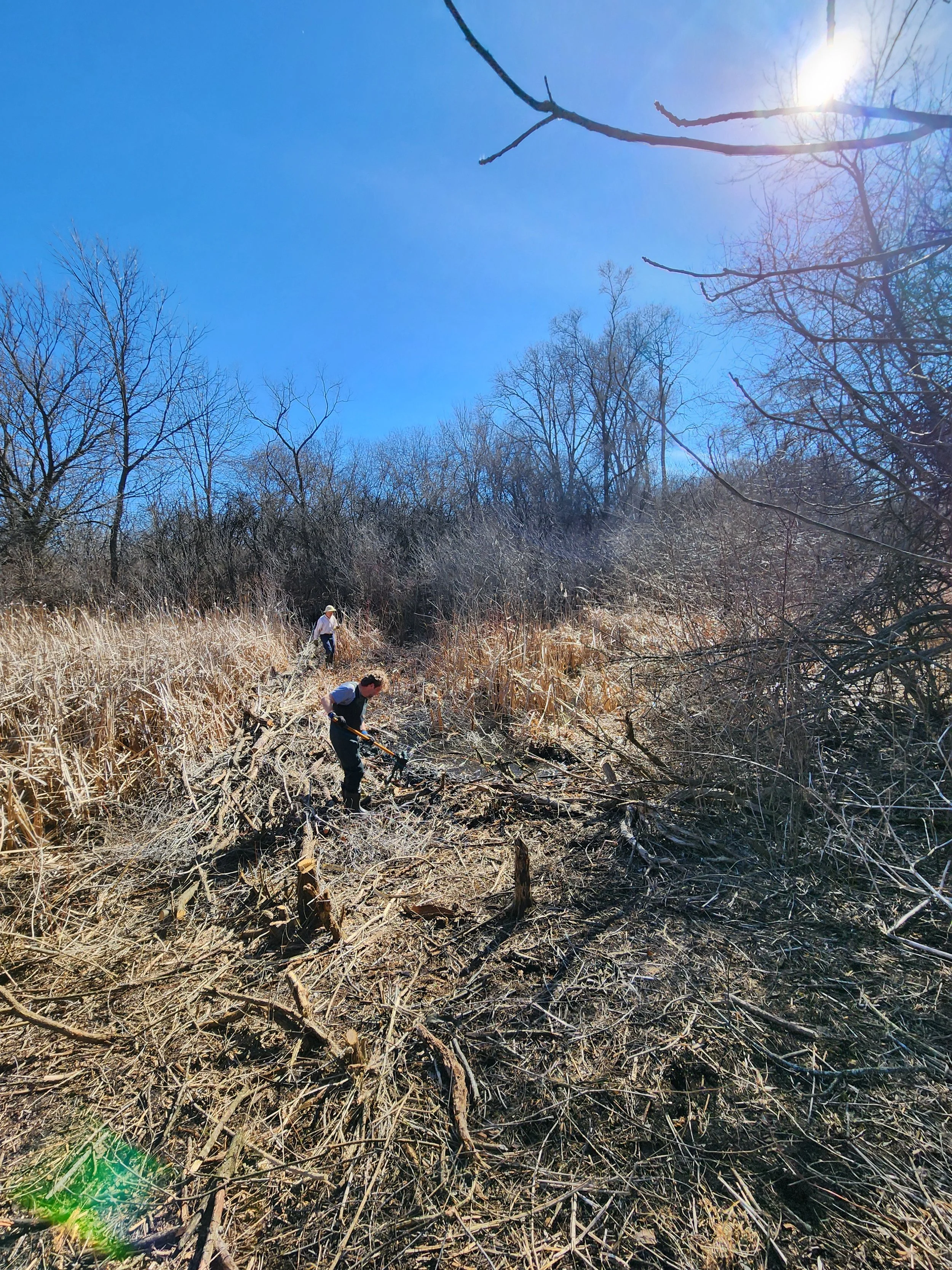 November's Restoration Day