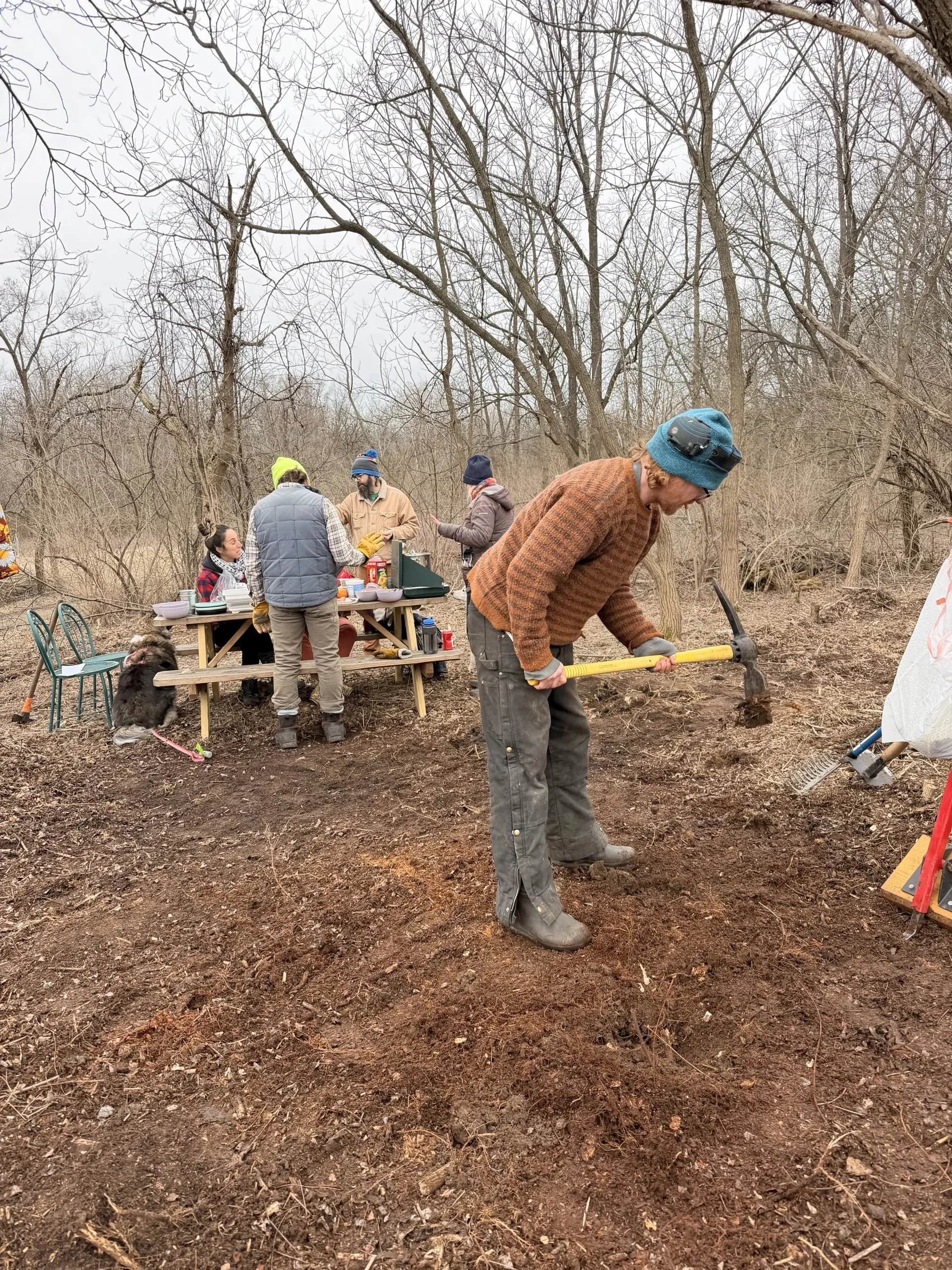 A person with a pickaxe removing stumps from the ground. A group of people  and a dog at the back sharing food around a picnic table