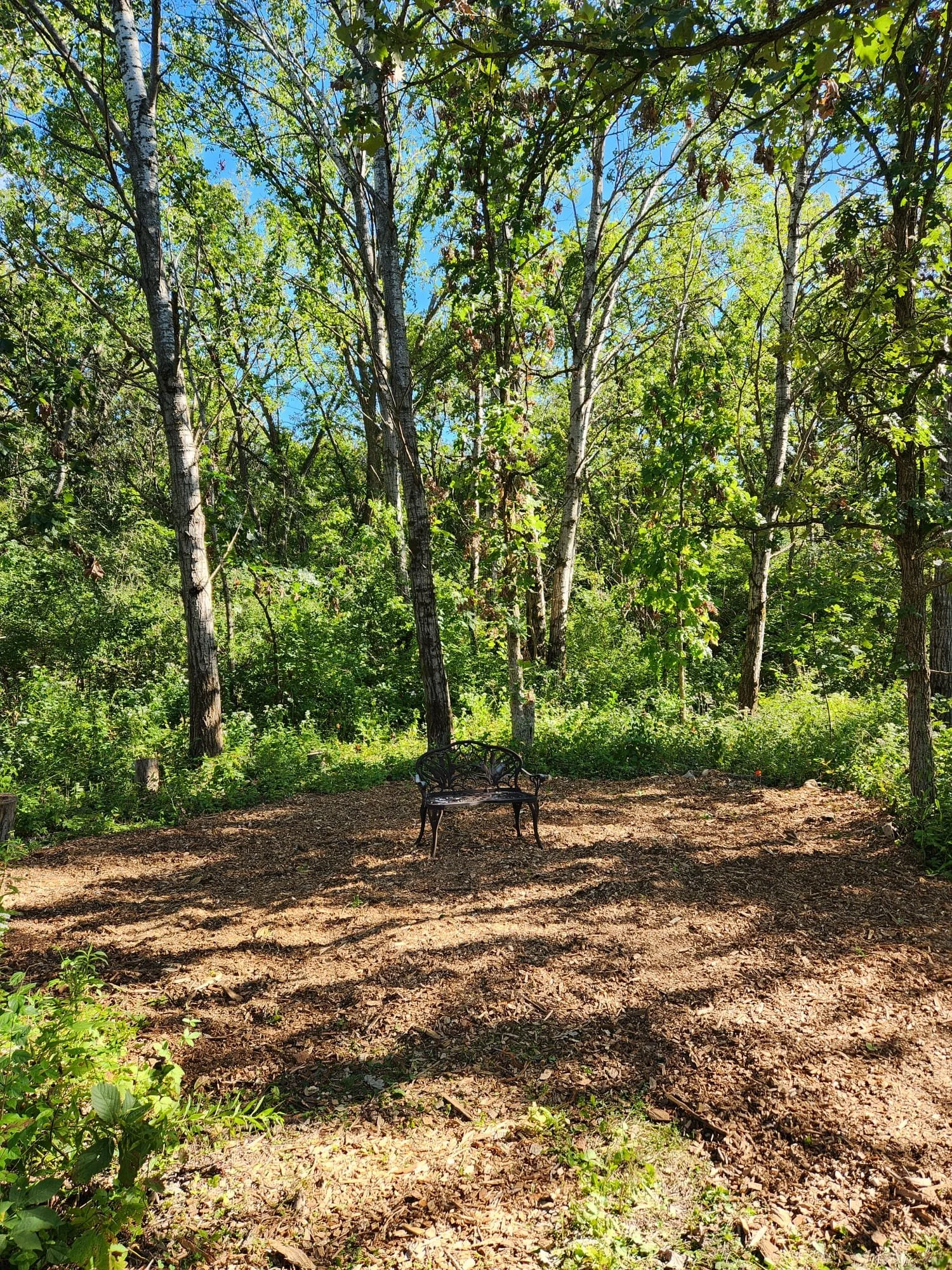 WhatsApp Image 2024-09-11 at 14.07.48.jpeg