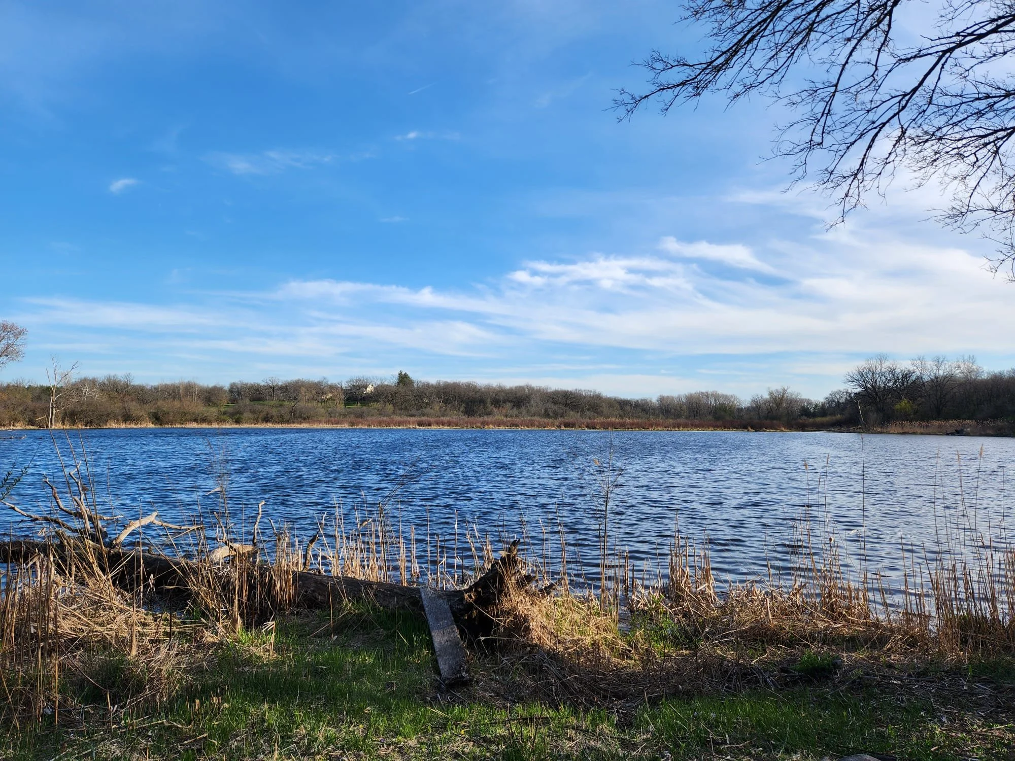 WhatsApp Image 2024-09-11 at 14.05.59.jpeg