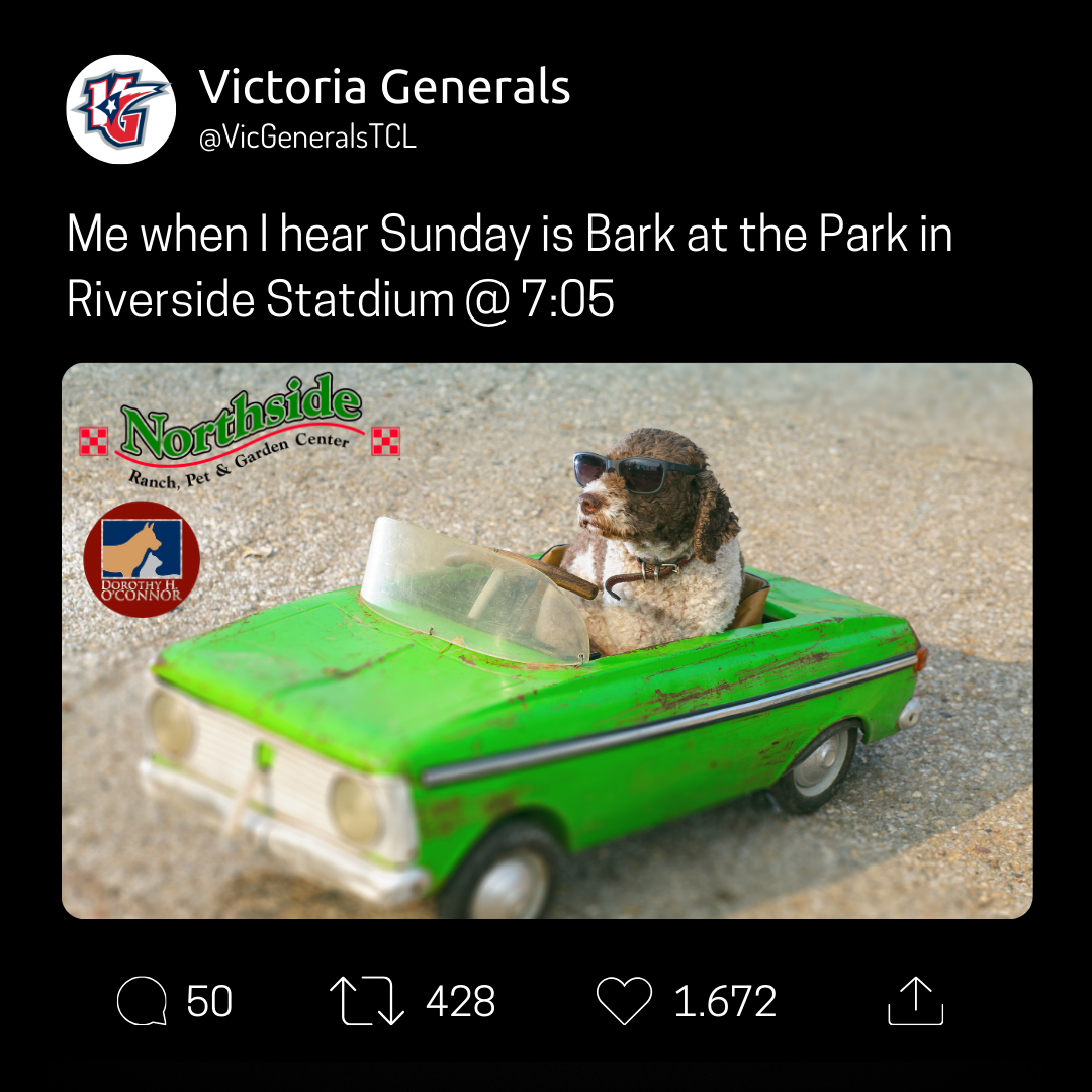 Bark in the park.png