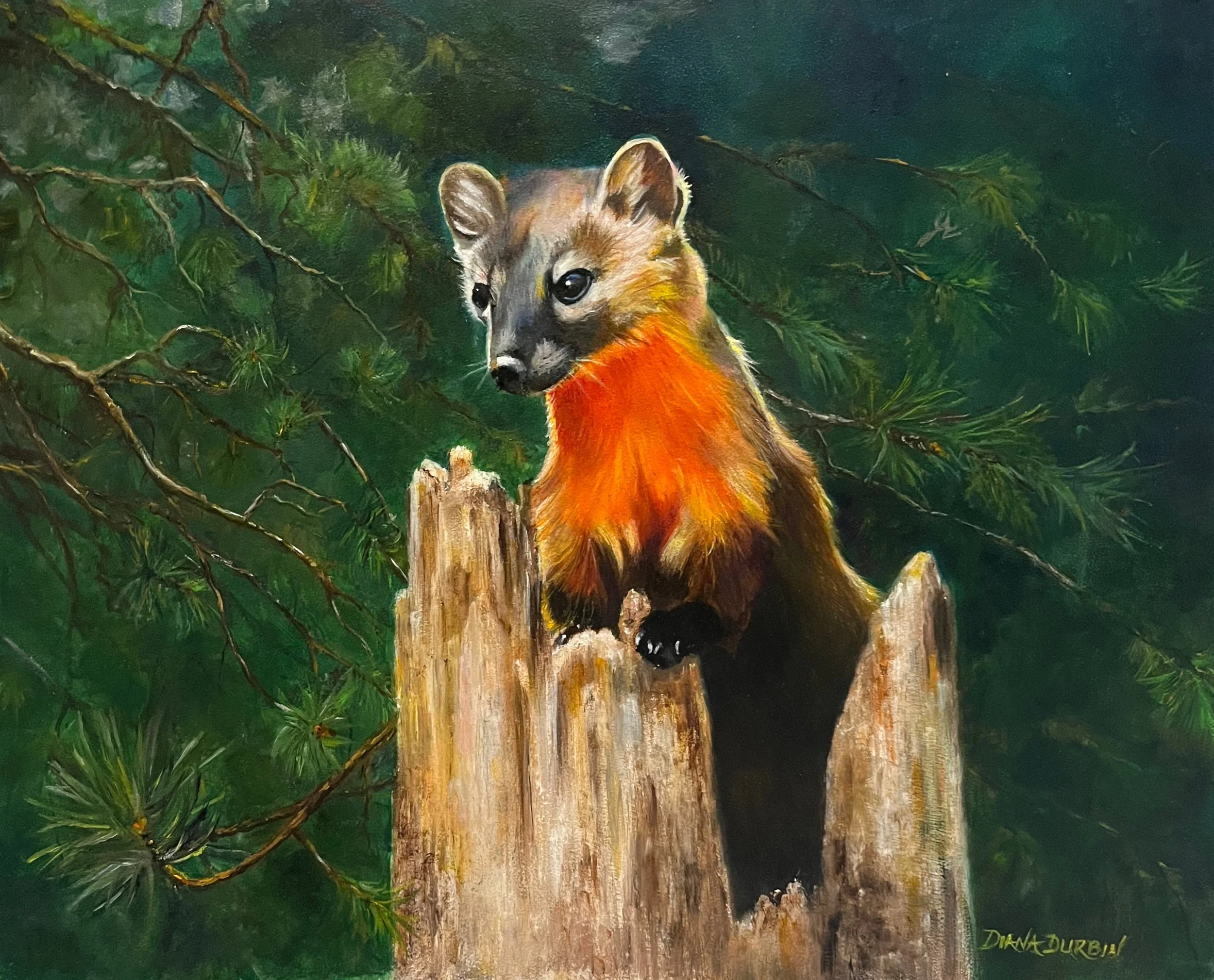 Diana Durbin, Pine Martin.jpg
