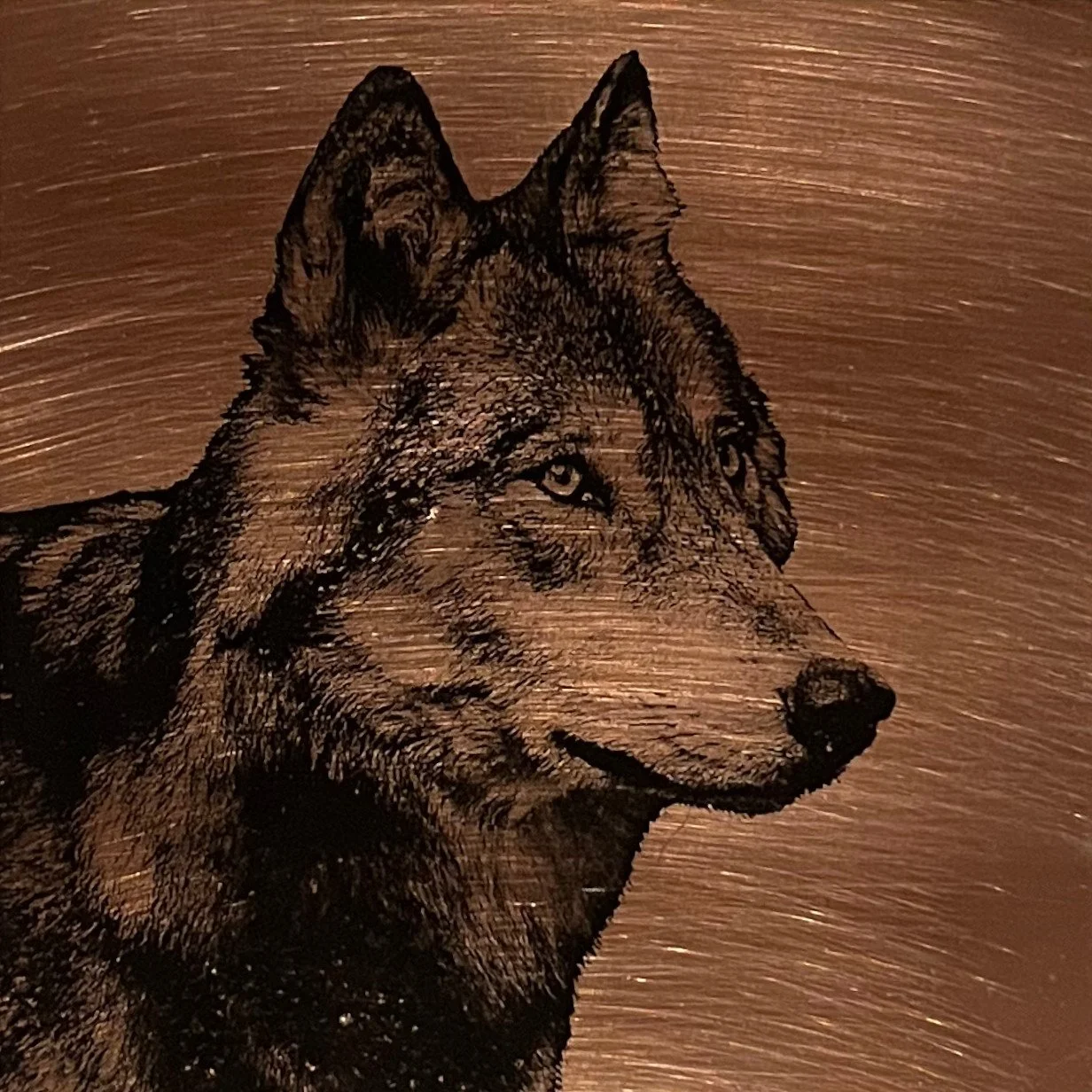 Lauren Estes, Wolf Framed.jpg