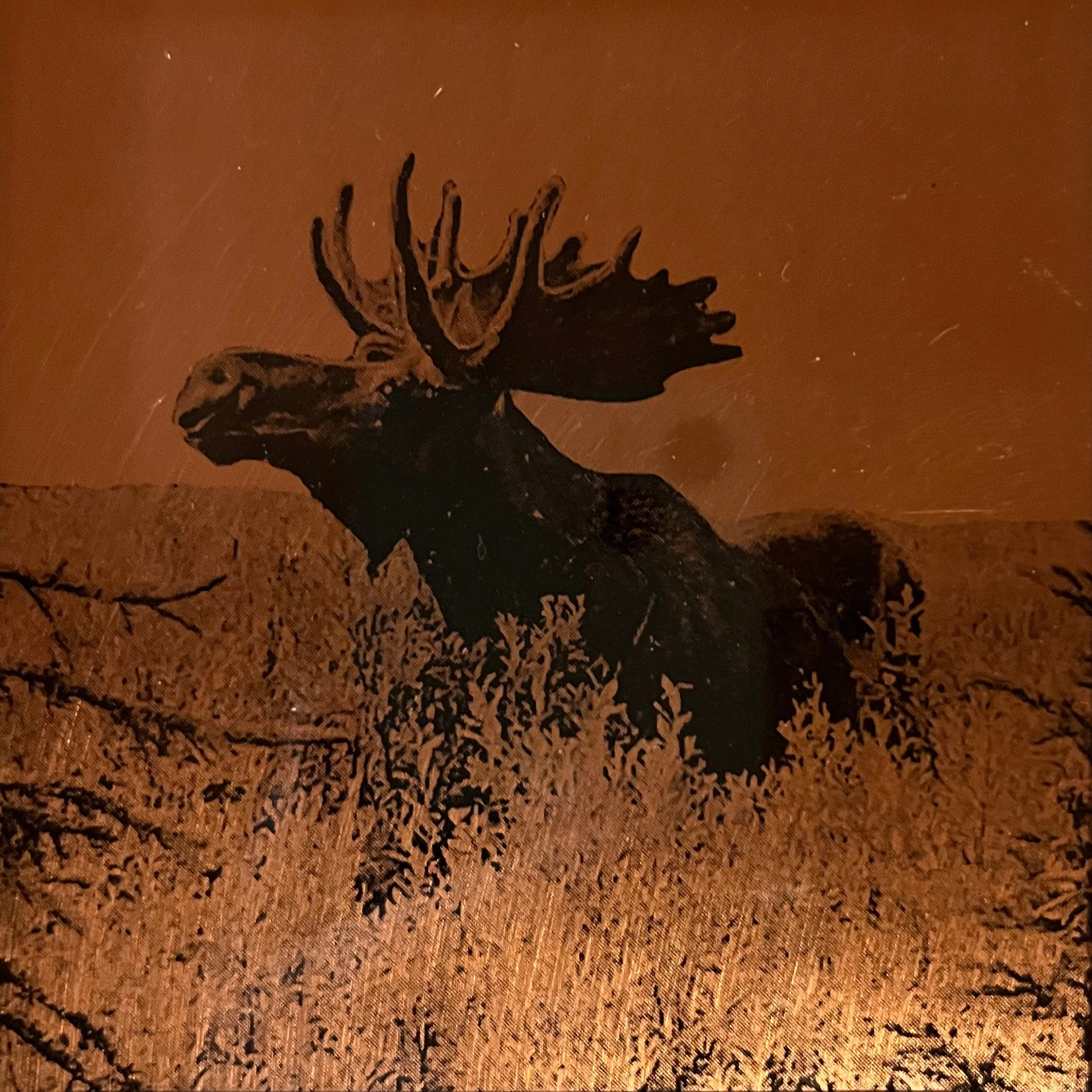Lauren Estes, Moose.jpg