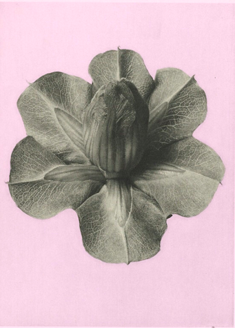 Thoughts on Diagnoses