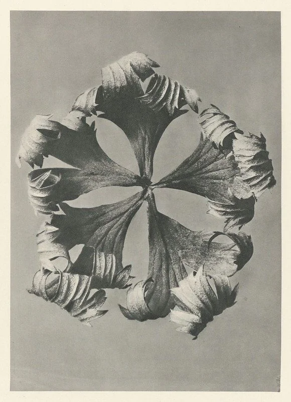 Wenn es keinen Platz für Fürsorge im System gibt