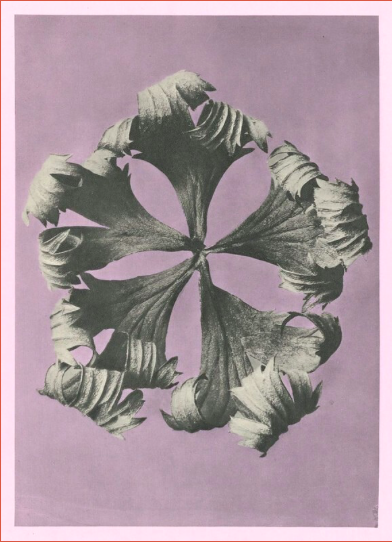 When Care Has No Place In The System