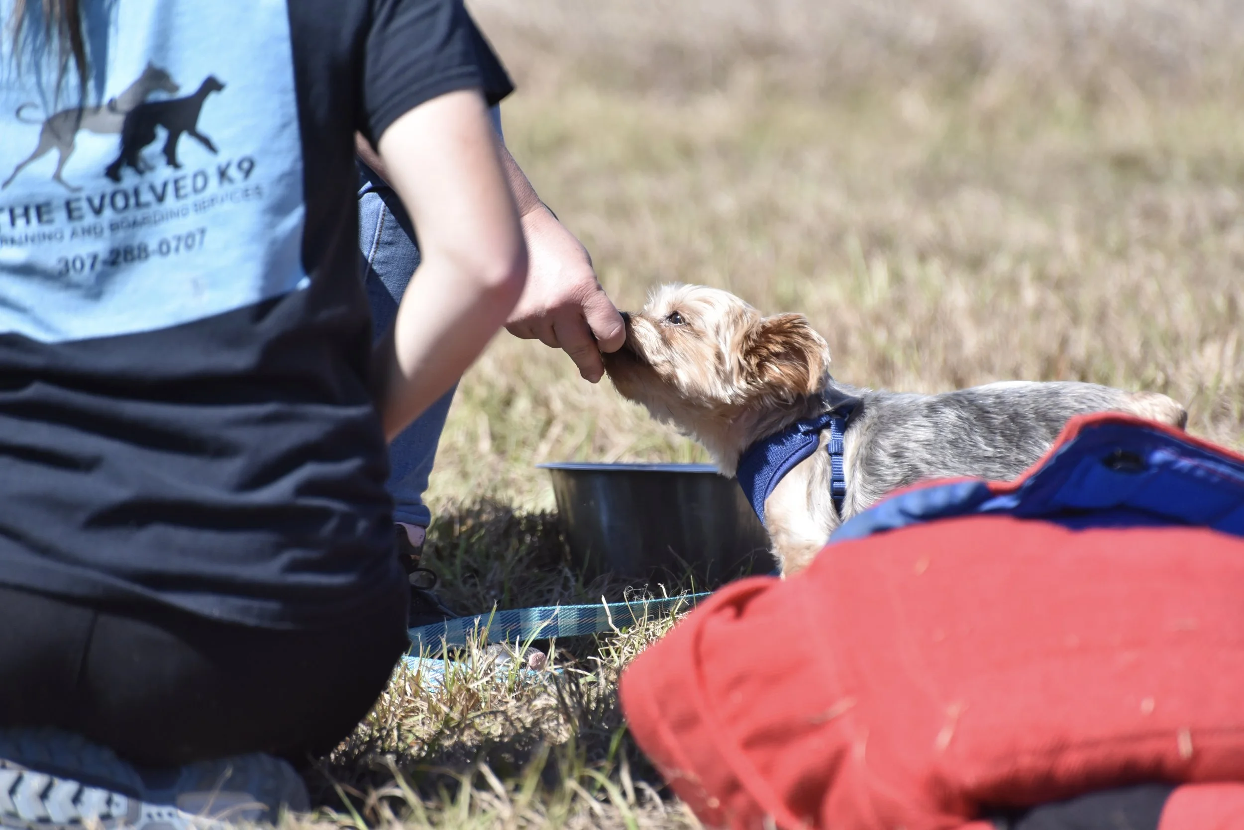 Bentley treat.jpg
