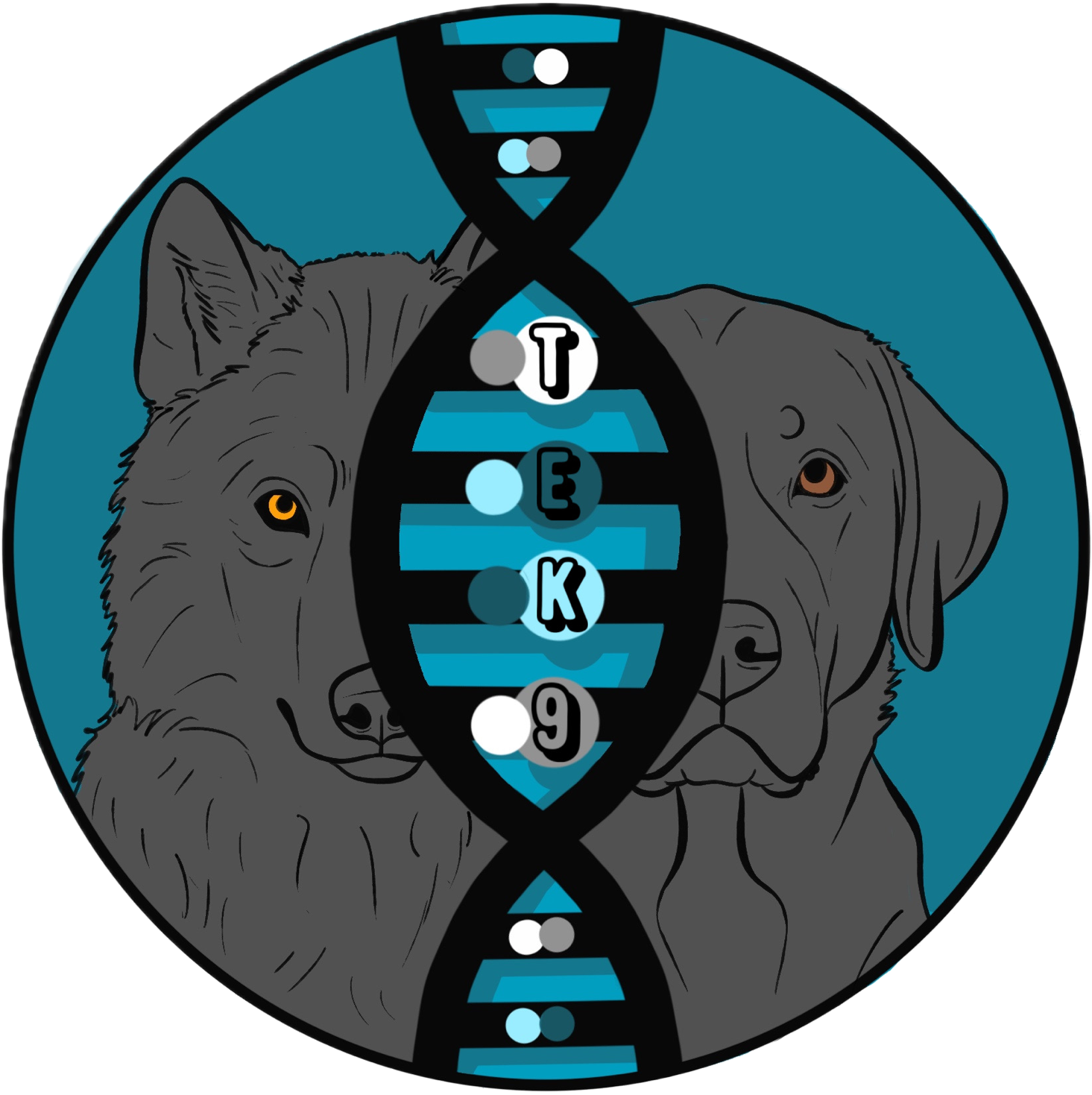 The Evolved K9