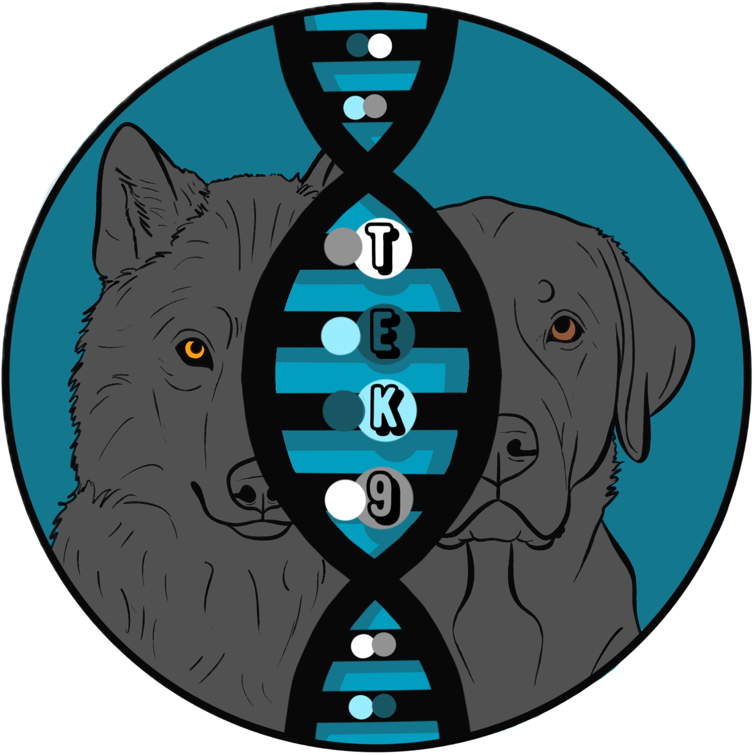 The Evolved K9