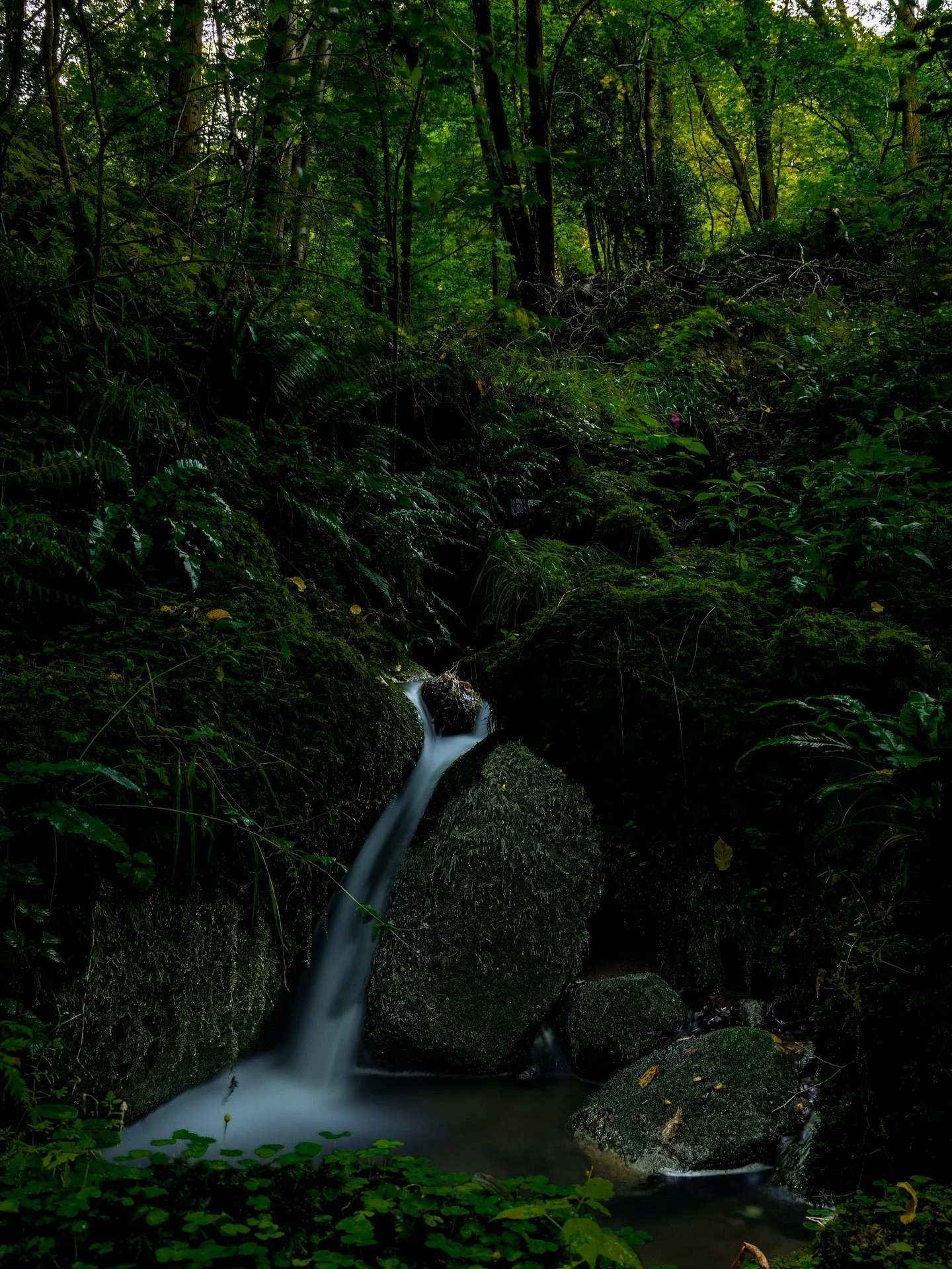Woodland walks #landscapephoto #longexsposure #yorkshire #yorkshirephotographer