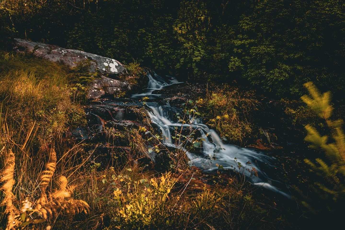 That autumn glow #landscape #longexsposure #autumnvibes #autumnvibes🍁