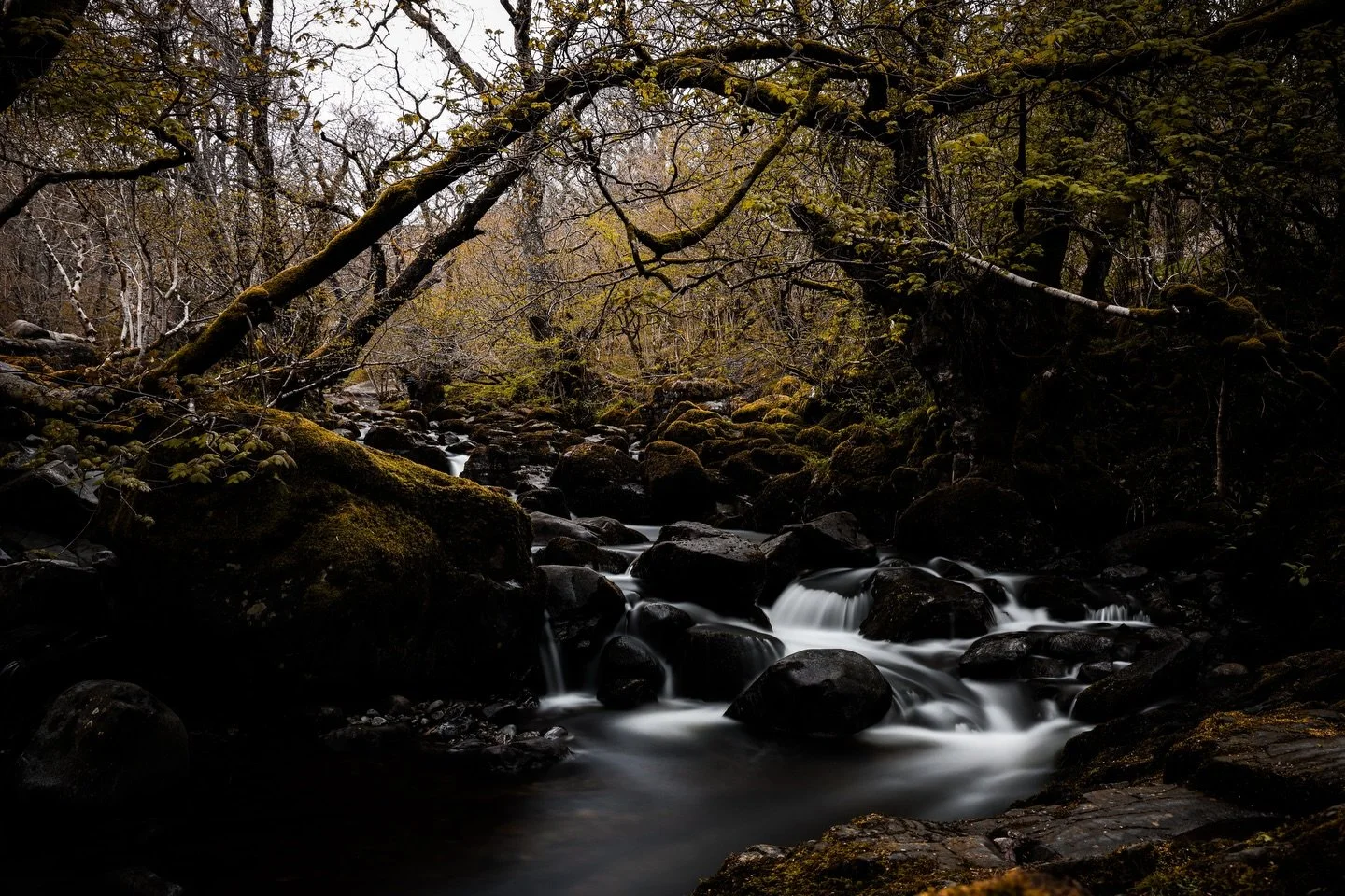 Obsessed with long exposures  and Wonderful hikes in the lakes #lakedistrict #landscapephotography #longexposurephotography #landscape #photographer