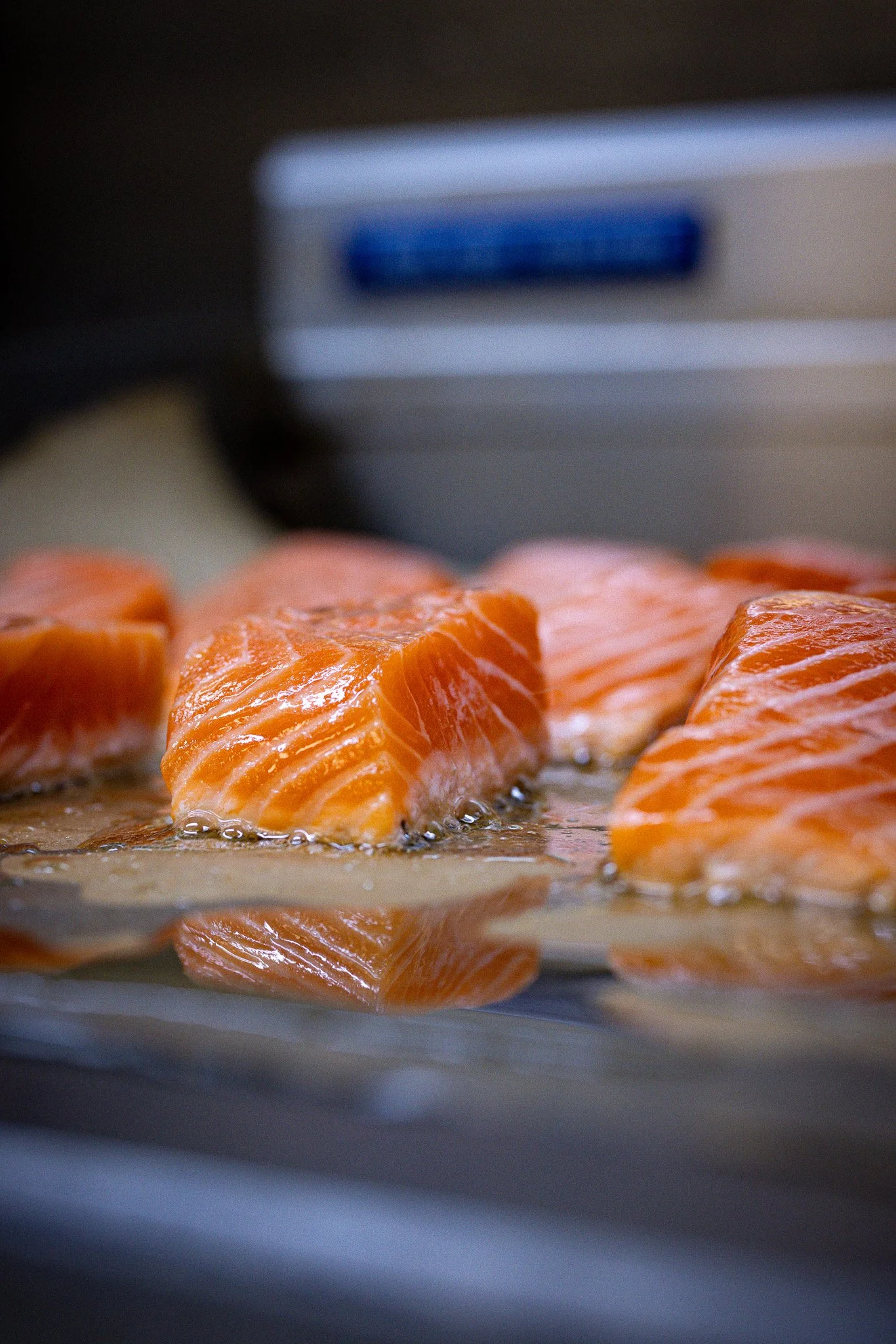 Fresh salmon fillets on a tray with a blurry background.