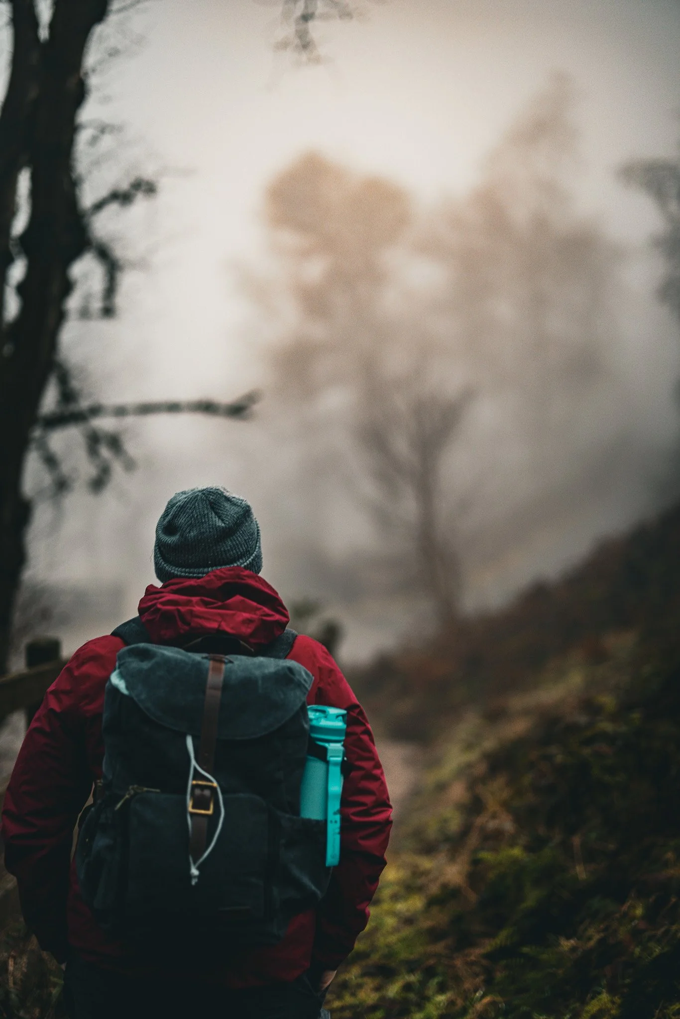 Hiker walking along a forest trail with tall trees and misty fog.