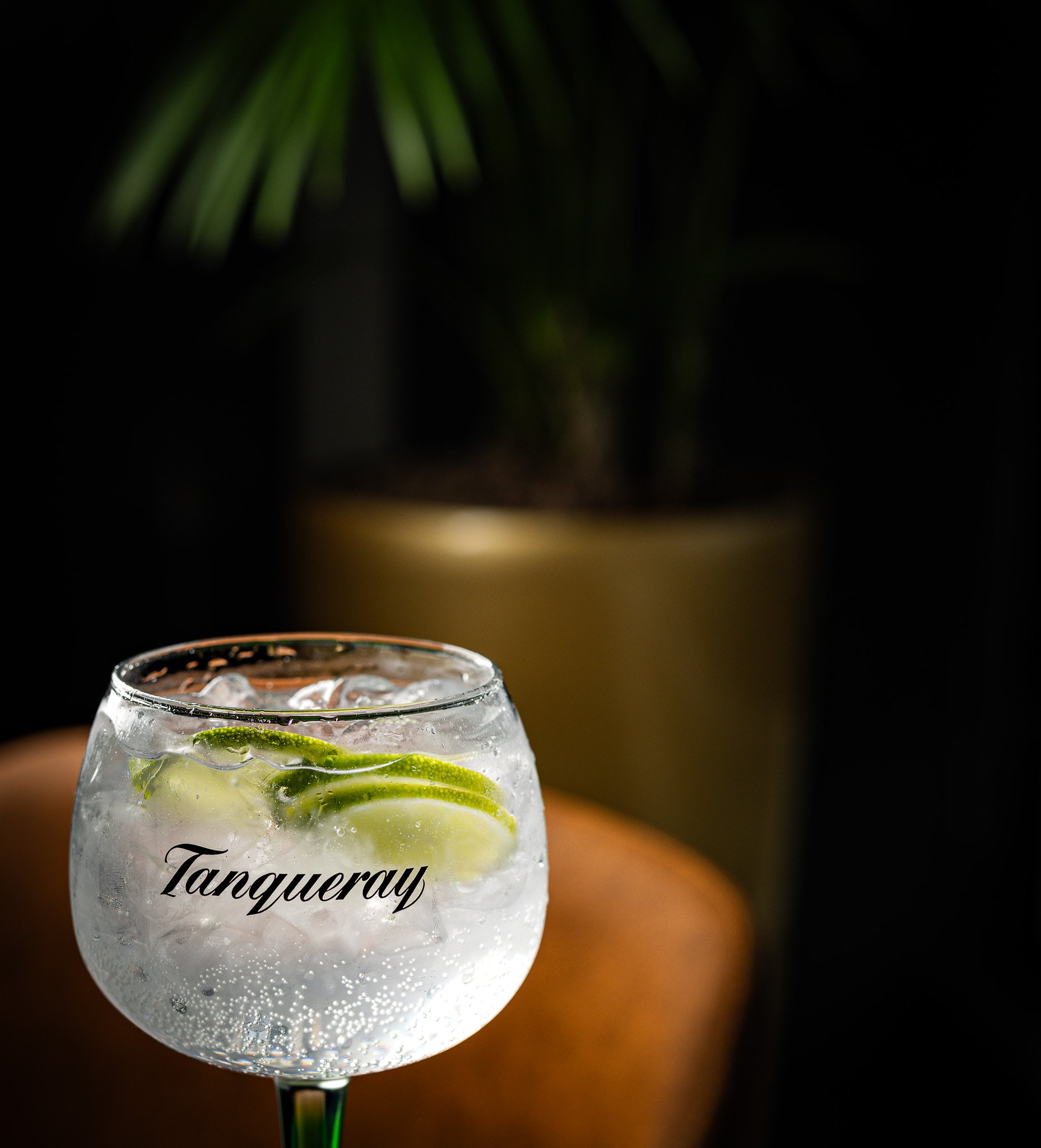 A glass of gin and tonic with lime slices and ice, with the brand name 'Tanqueray' on the glass, positioned in front of a blurred background of a potted plant and a dark setting.