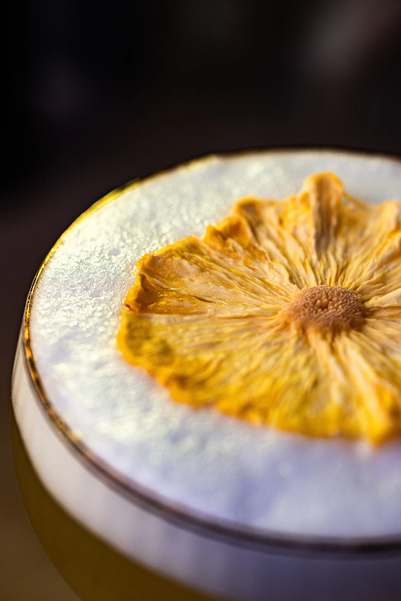 Close-up of a beverage with a dried lemon slice garnish on top, placed in a cup with a metallic gold rim.