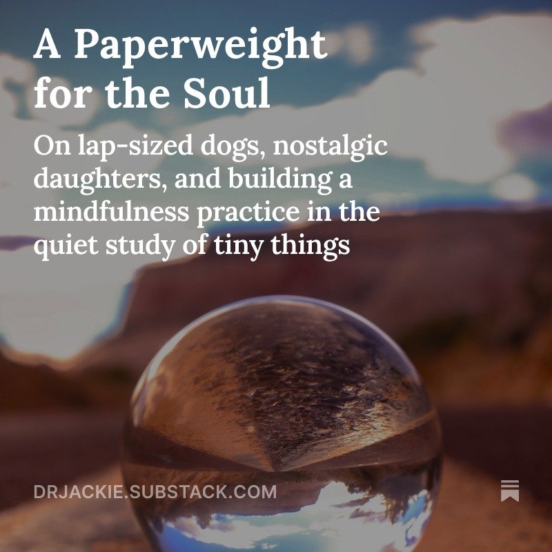 New on Substack: A Paperweight for the Soul
Turns out my dog, my kid, and a good cup of coffee have more in common than I thought: they&rsquo;re all small, warm, and very effective at keeping me still. 🐶☕💛
This one&rsquo;s about soft anchors, lap-s