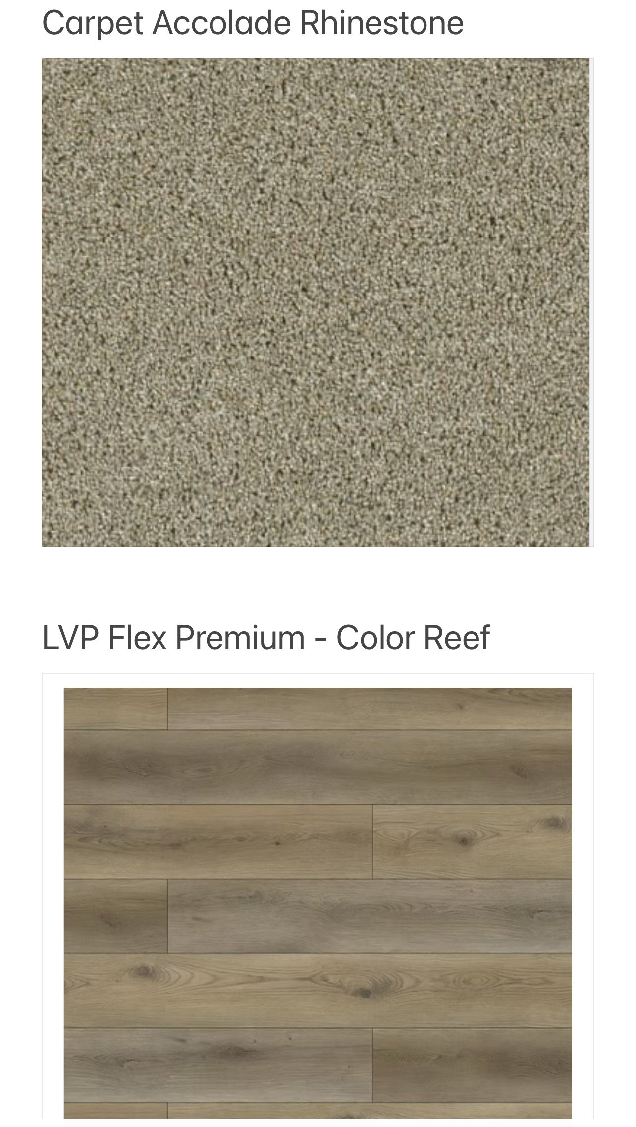 Floor.jpeg