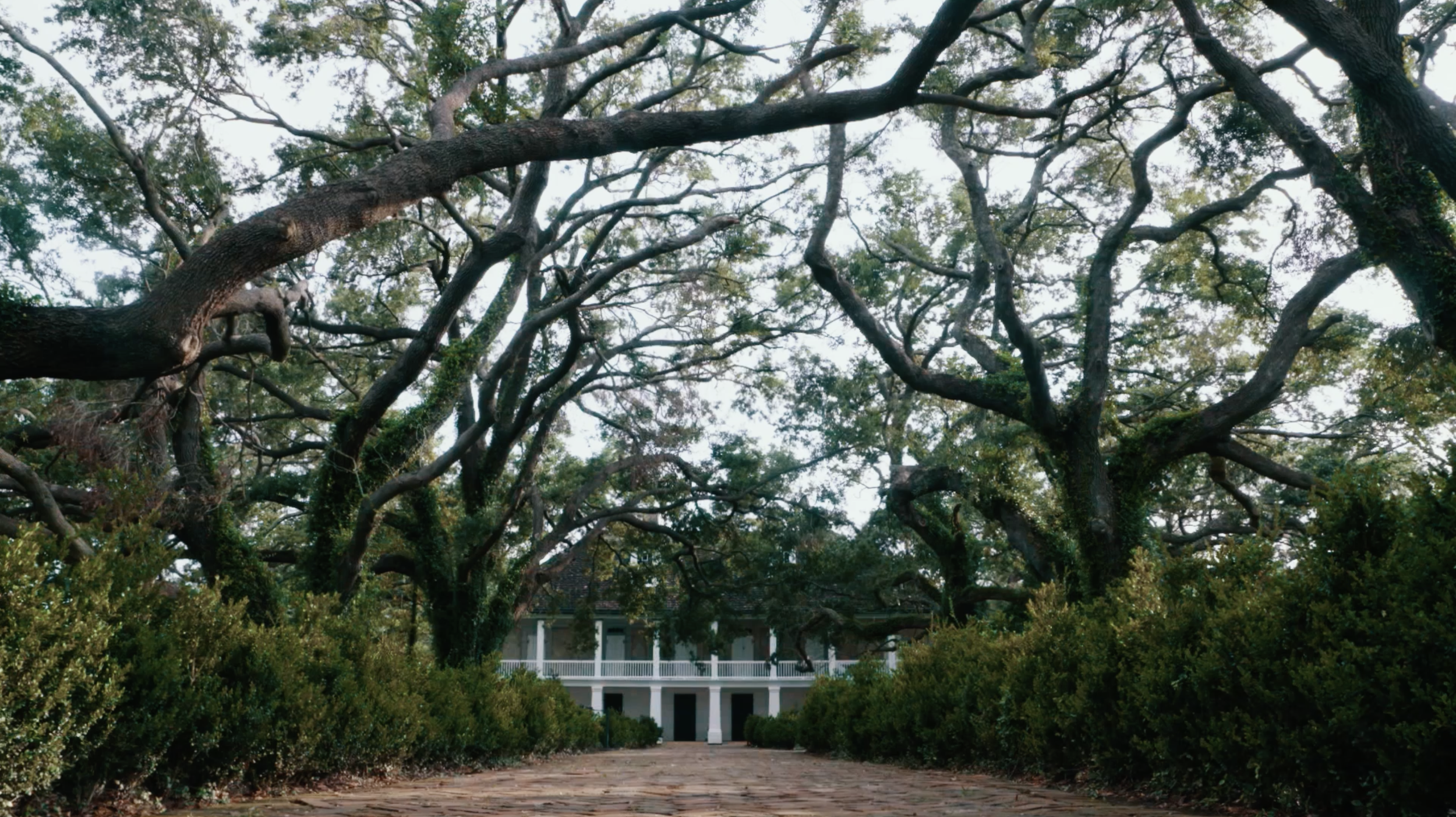 Screenshot 2025-12-18 at 11.53.53 PM.png