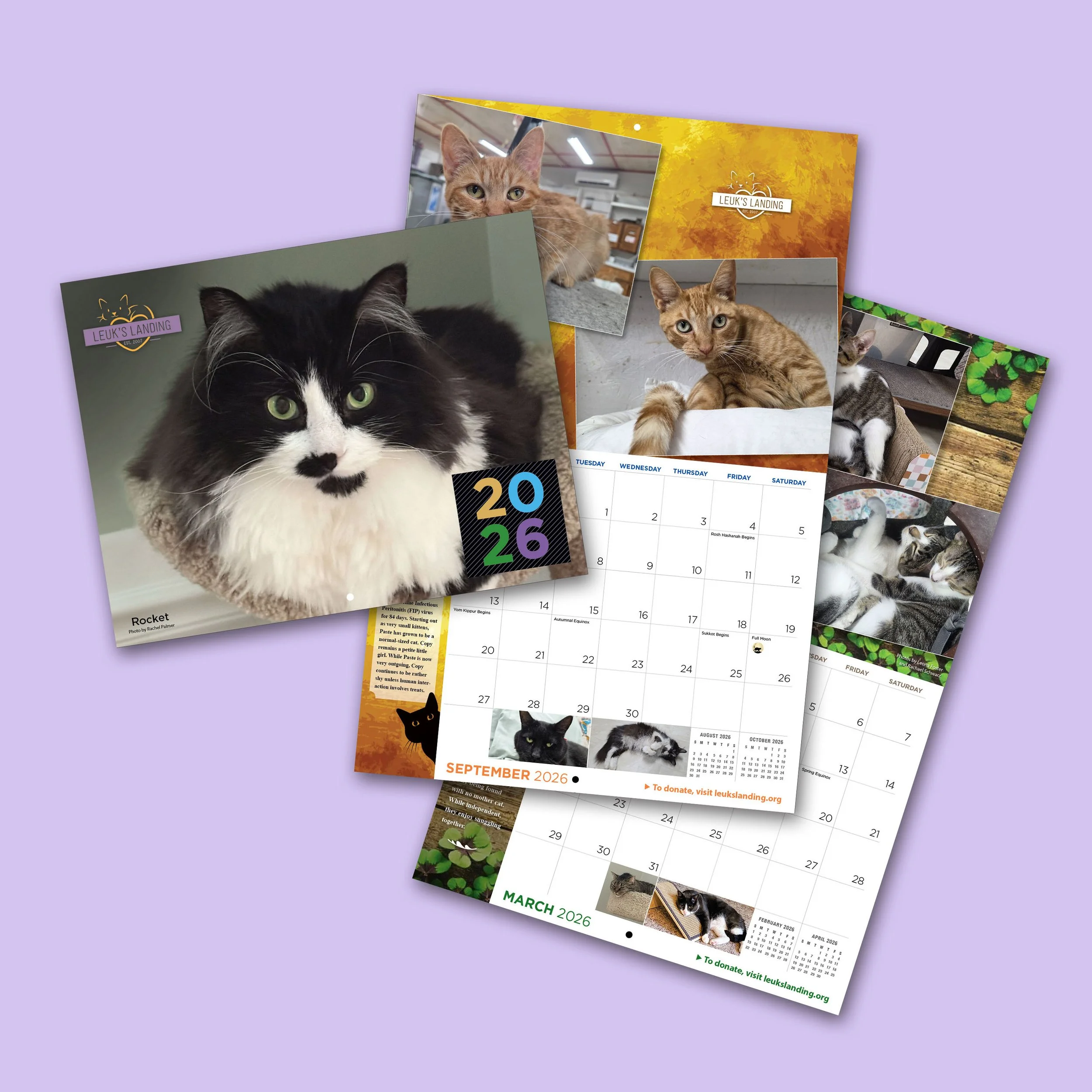 Leuk’s Landing 2026 Calendar