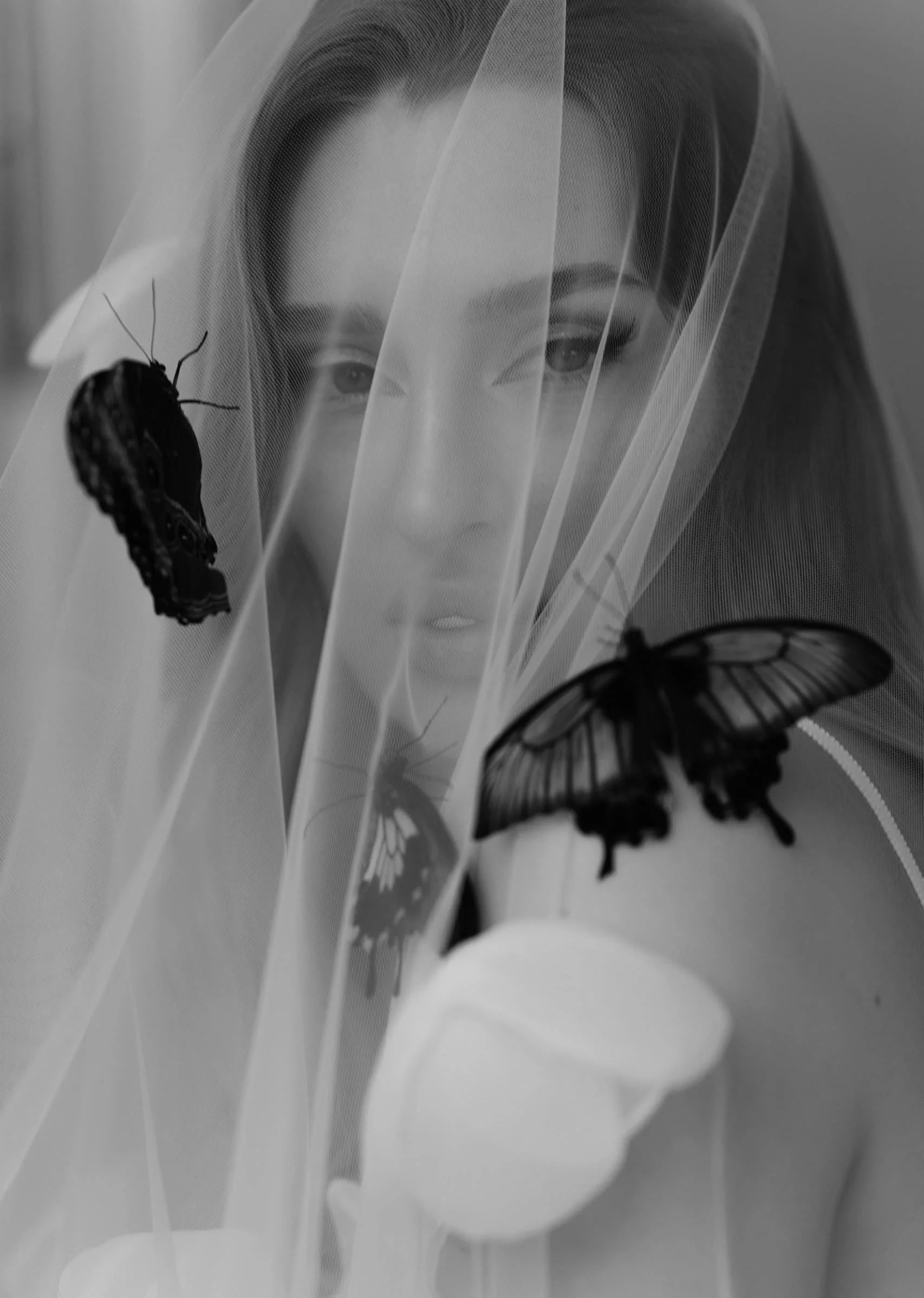 A person with partially visible face behind sheer fabric, with two butterflies—one on the fabric and one resting on the person’s arm—viewed in black and white.