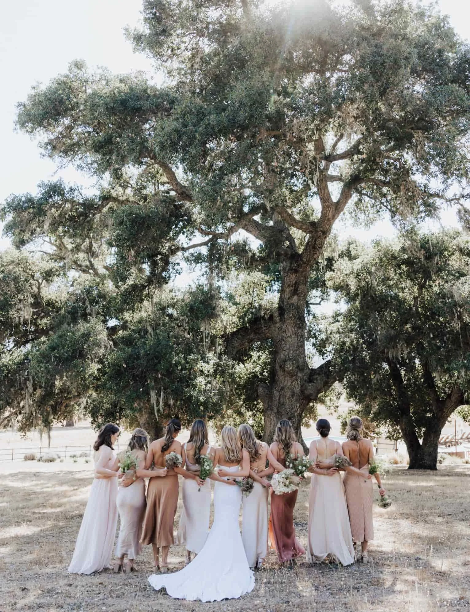 A bride and bridesmaids standing outdoors under a large tree during a wedding ceremony, holding bouquets of flowers, with sunlight filtering through the branches.