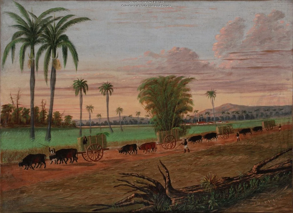 "Peopling Maine" | Maine History Online 