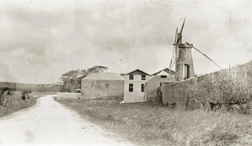 "Mainers in the Sugar Trade" by Cipperly Good 