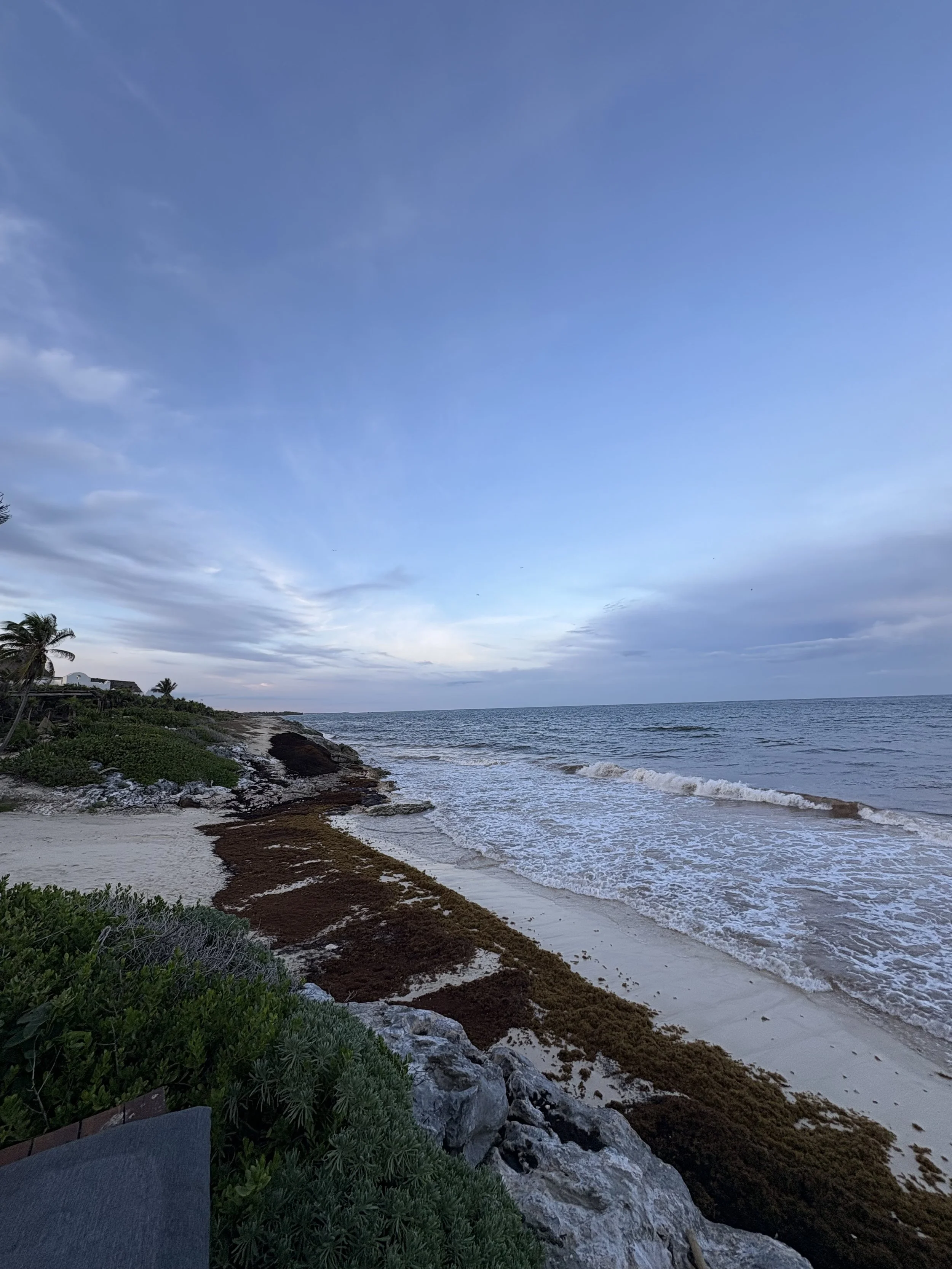Beach with sandy shore, seaweed trail, rocks, ocean waves, palm trees, and cloudy sky.