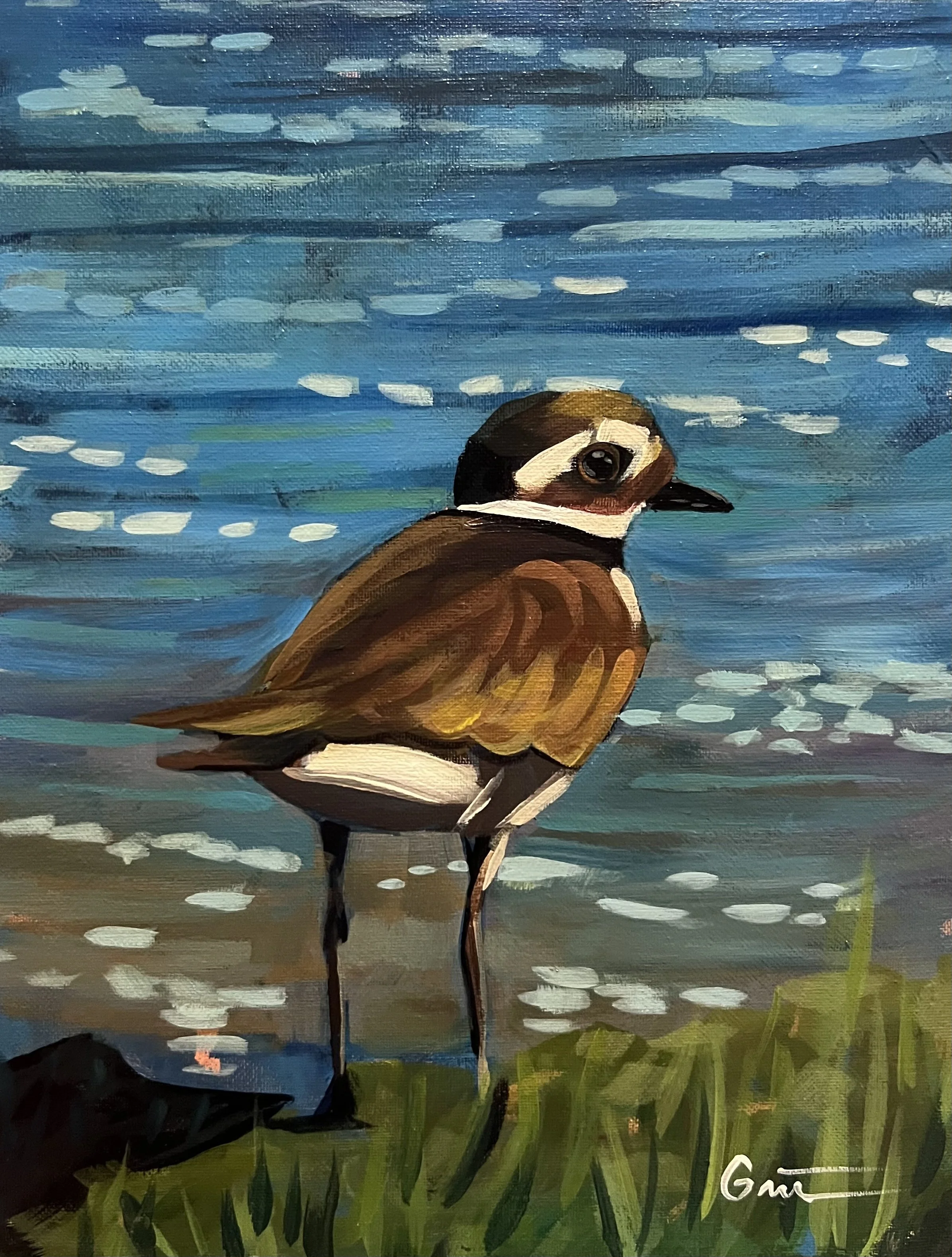 Killdeer 11x14