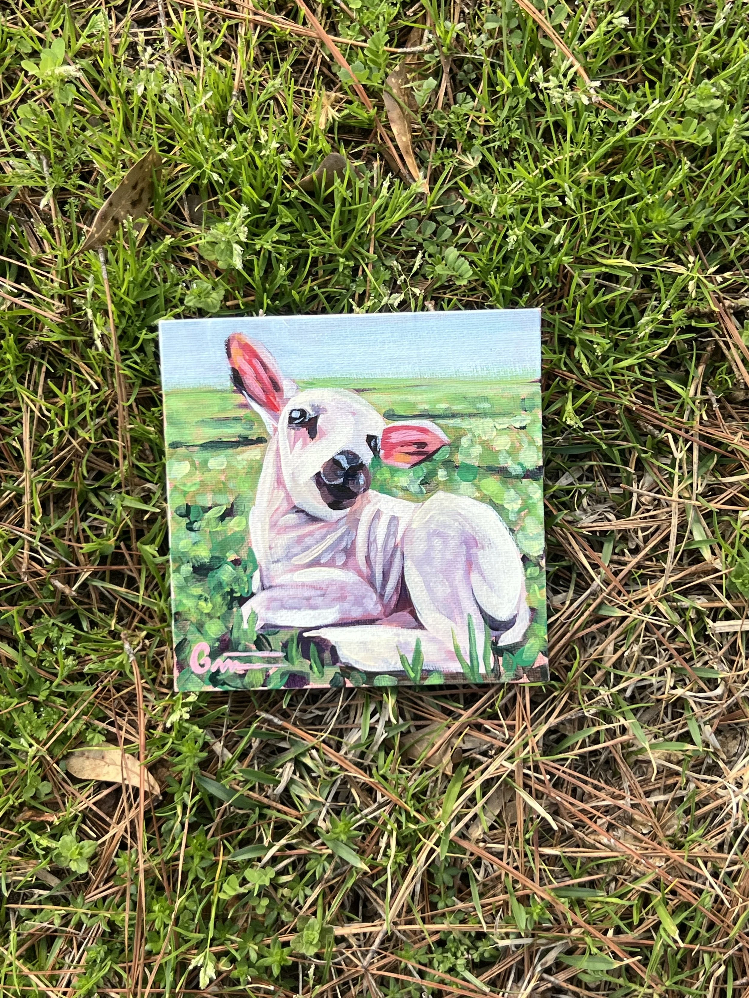 Mary Had a Little Lamb (Not the Nursery Rhyme)