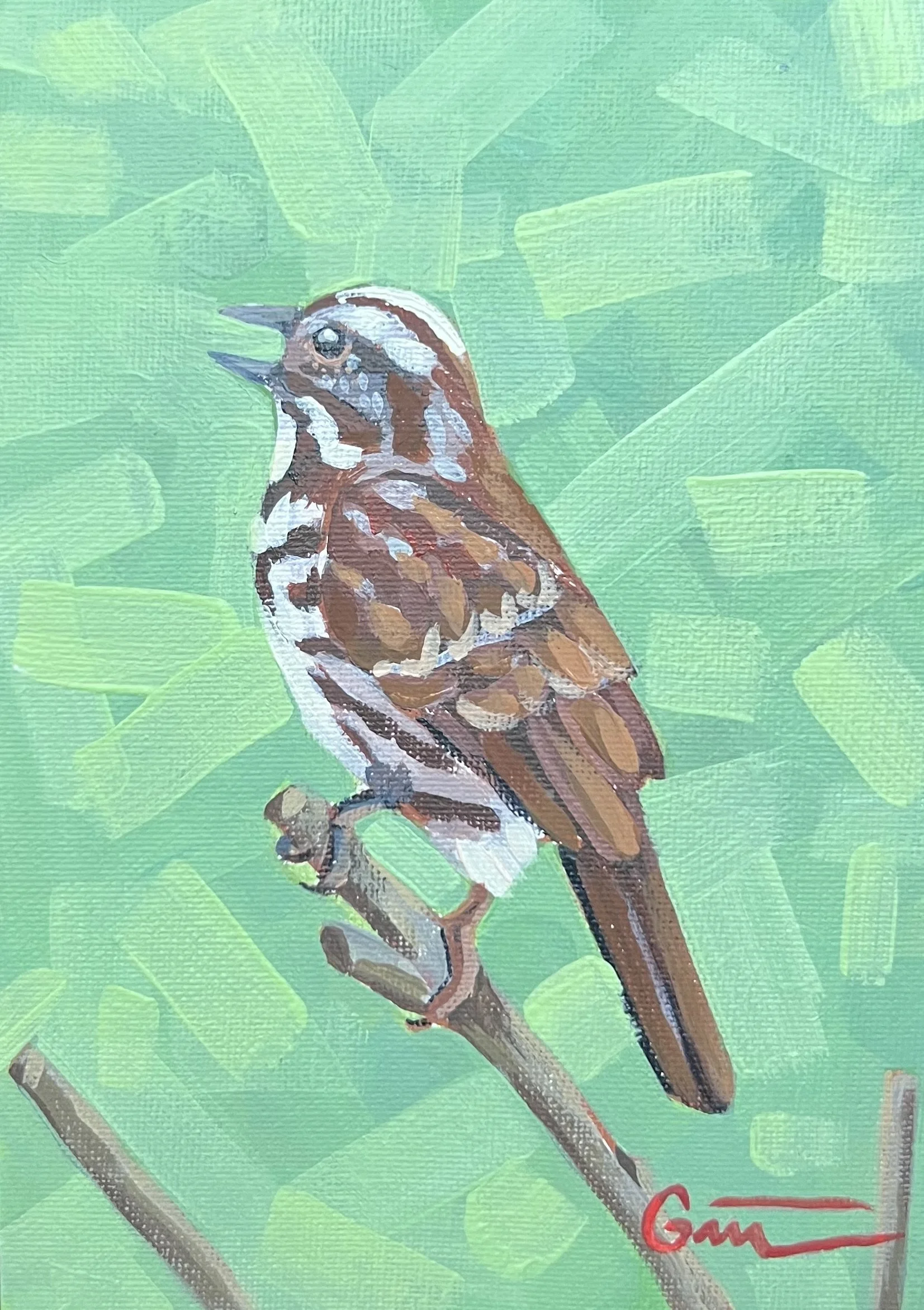Song Sparrow 3 5x7