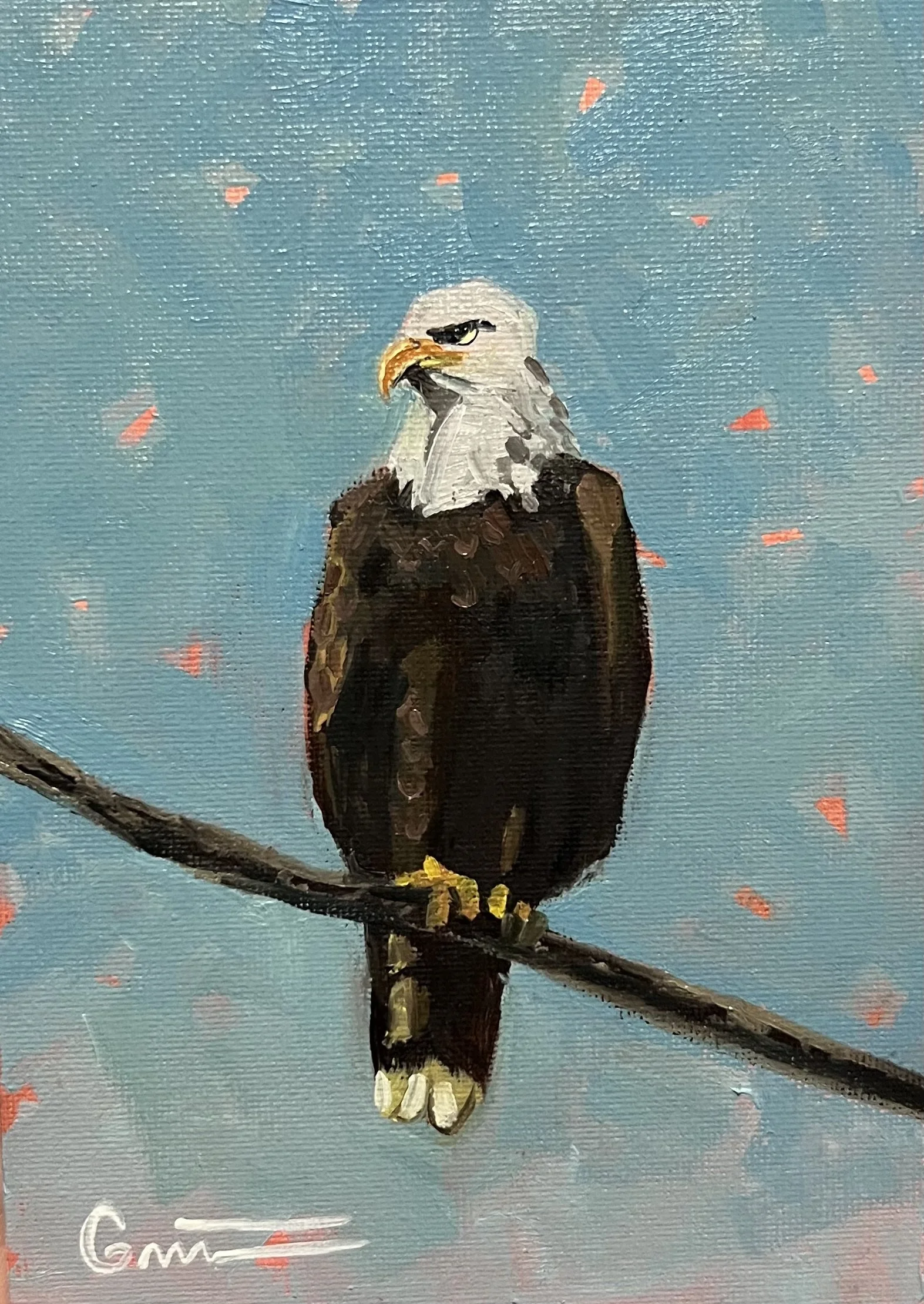 Bald Eagle 5x7