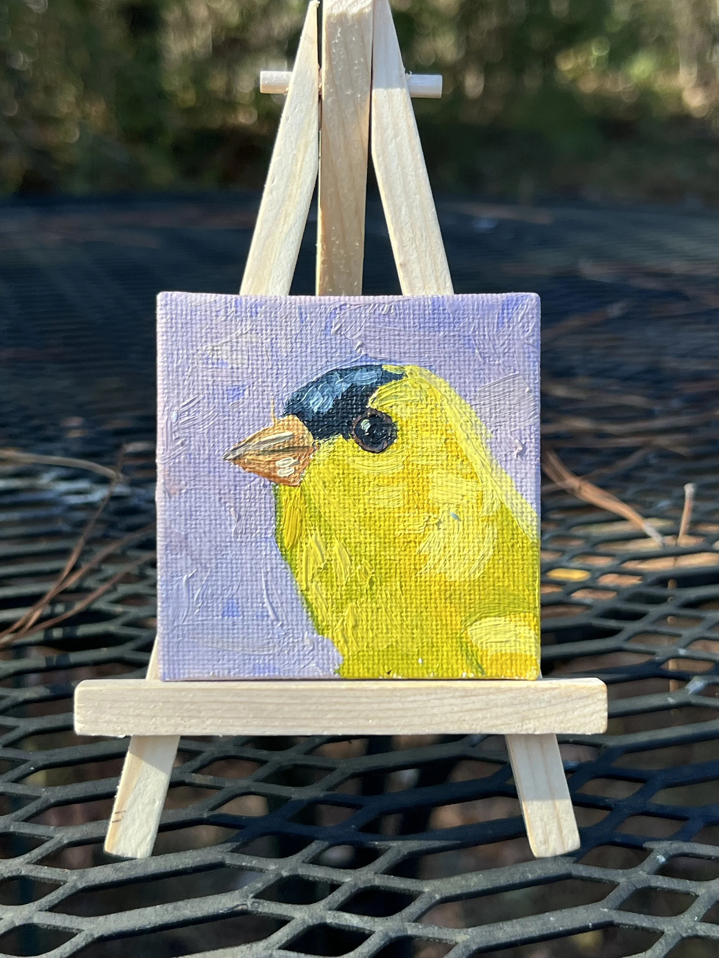 Mini American Goldfinch Painting