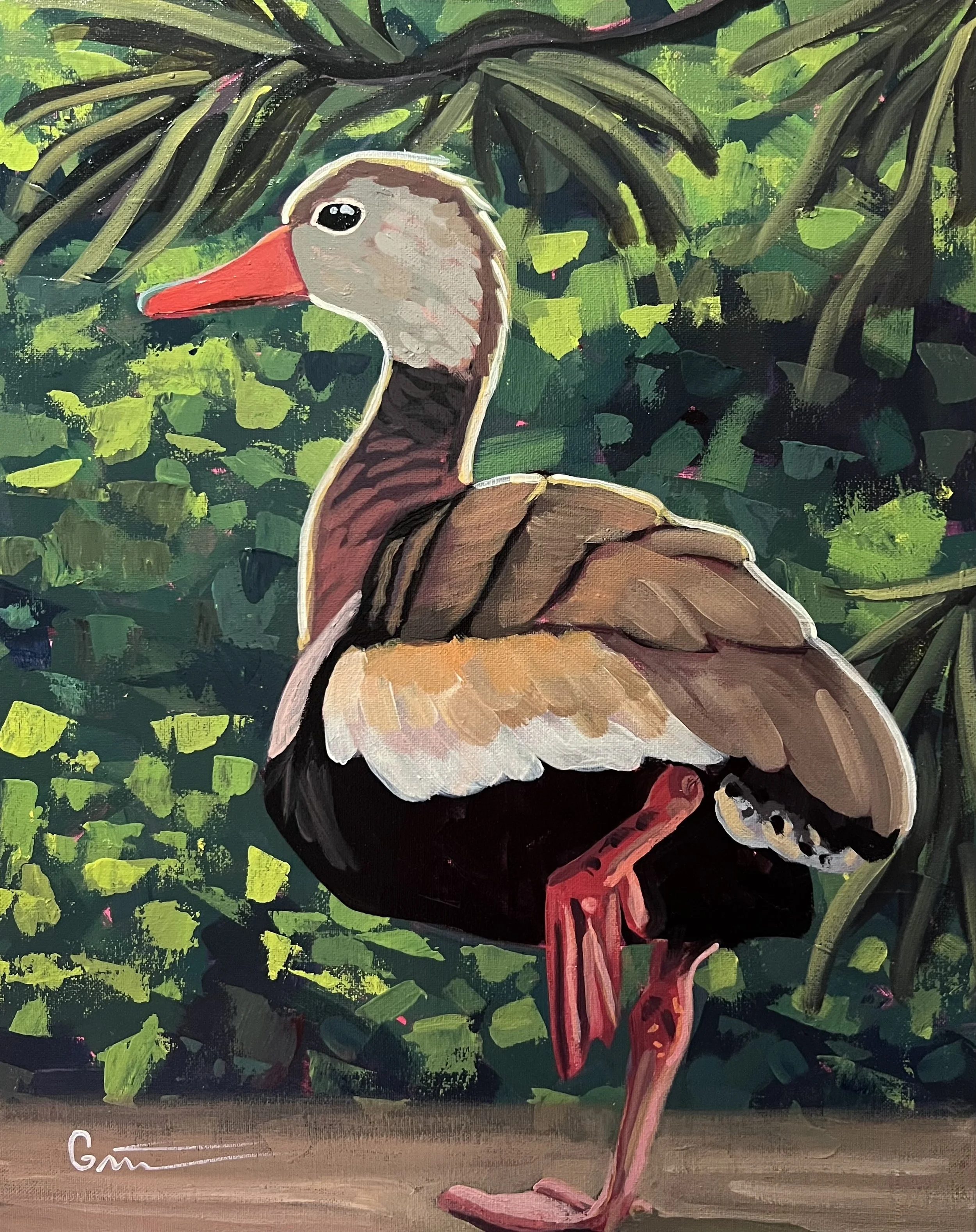 Black Bellied Whistling Duck 16x20