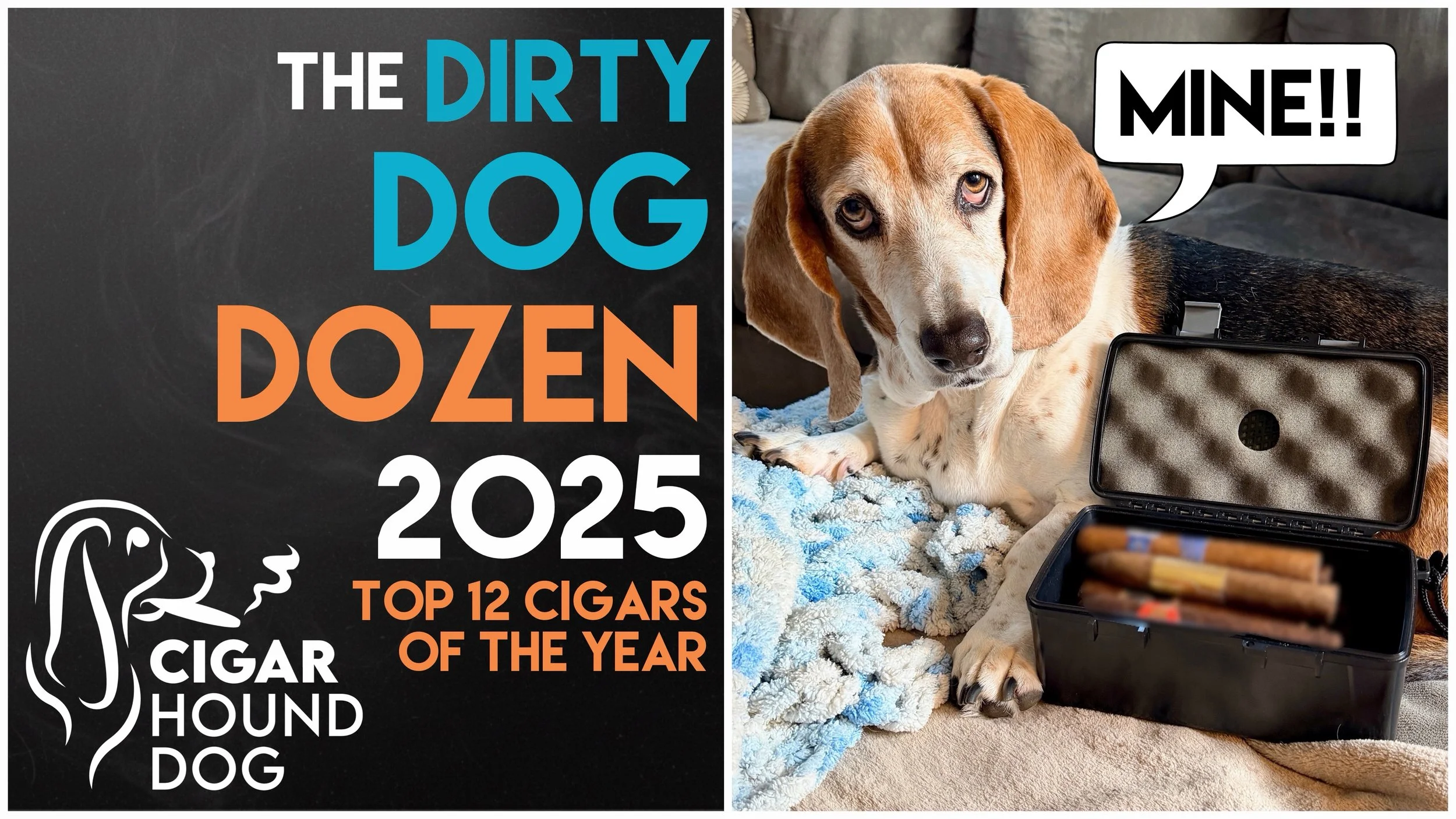The Dirty Dog Dozen 2025 | Top 12 Cigars of the Year